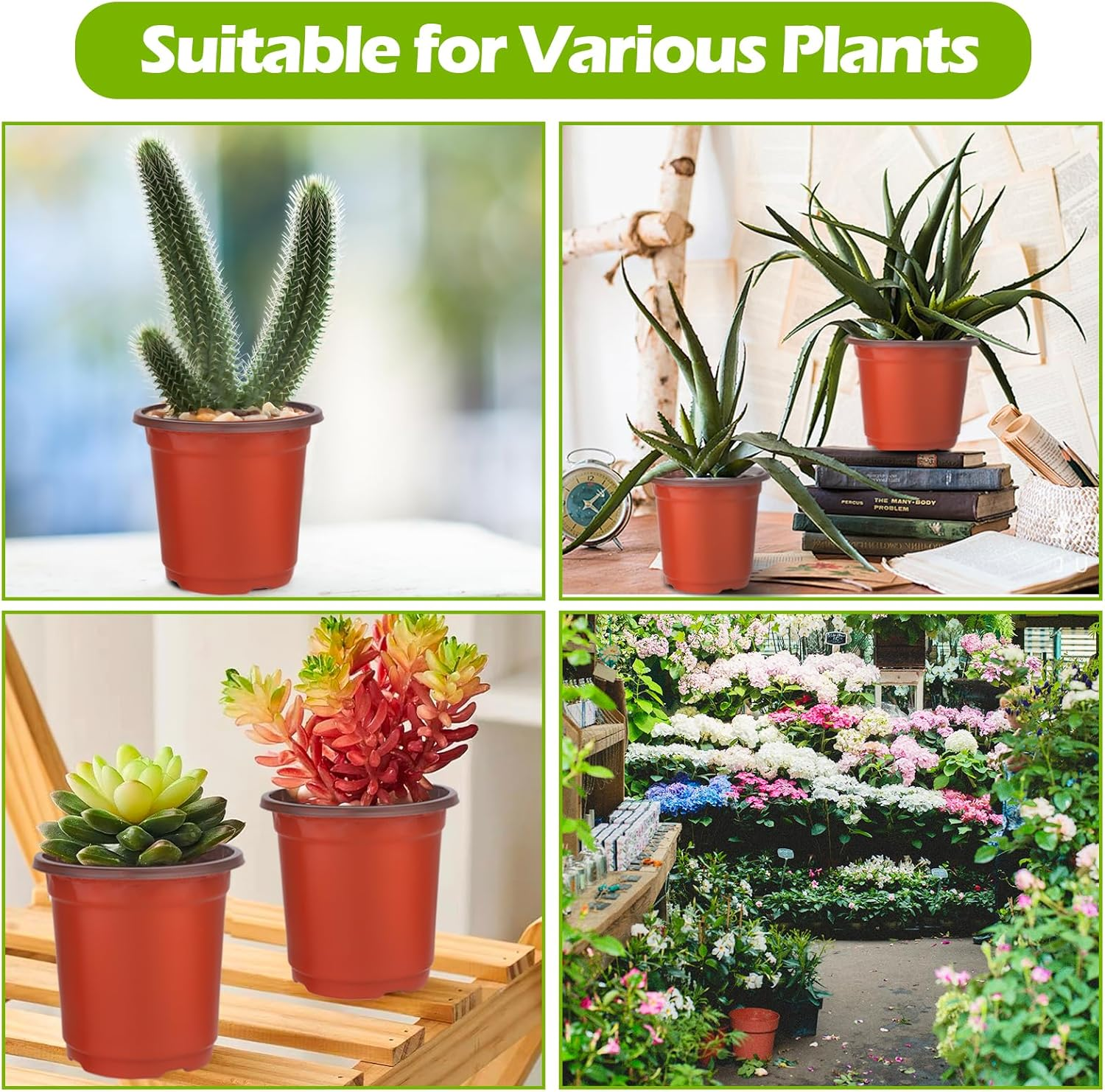 Nursery Pots for Plants 100 Pack, 4" Small Seedling Pot with Labels Seed Starting Pots with Drainage Holes, Plastic Plant Nursery Pots for Succulent Transplanting (Red) image number 6