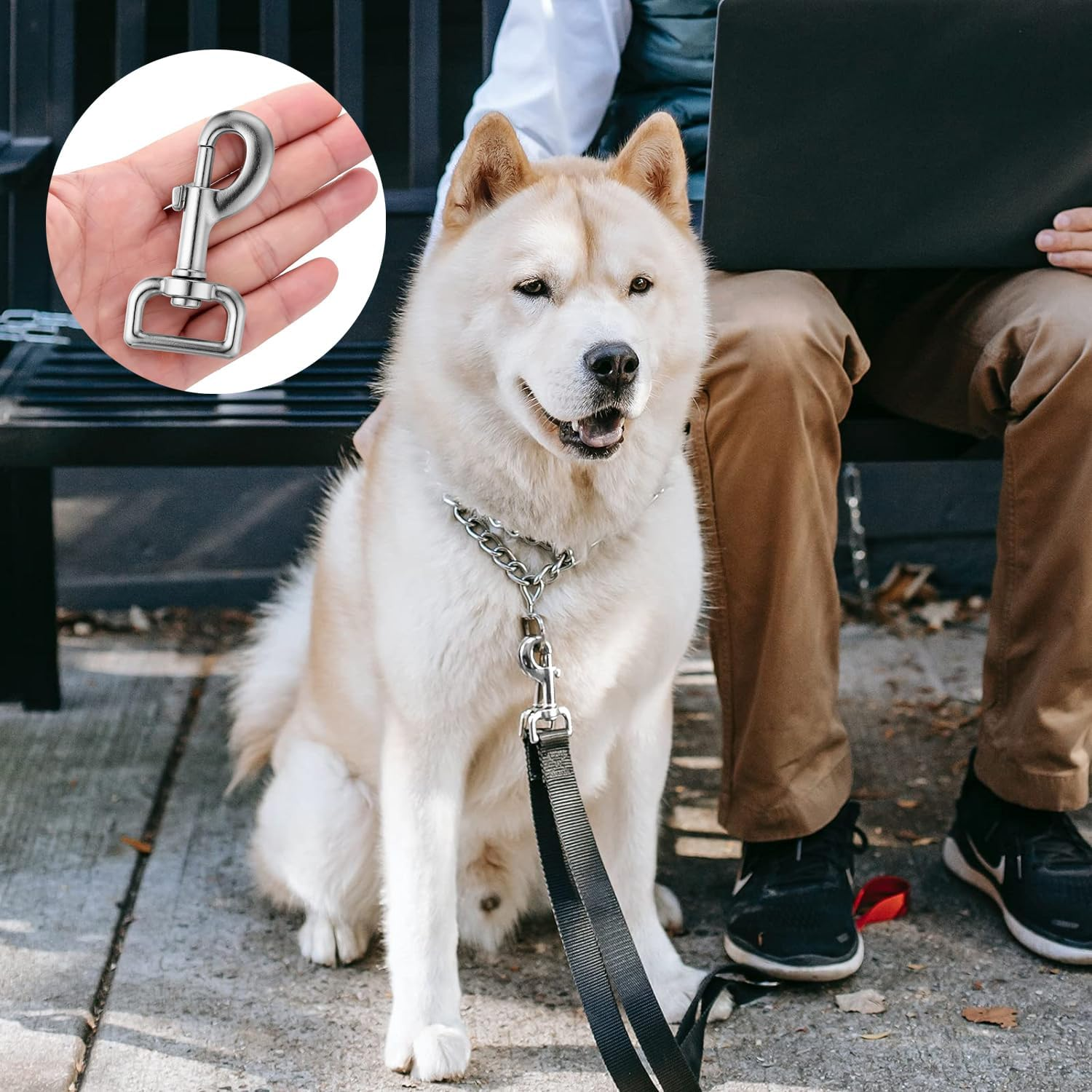 RUIENGCOMM 10Pcs Dog Leads Clips Stainless Steel Clips Clasp 360&deg; Swivel Snap Hooks Pet Buckle Key Chain Suitable for Connecting Pet Collars and Keychains image number 3