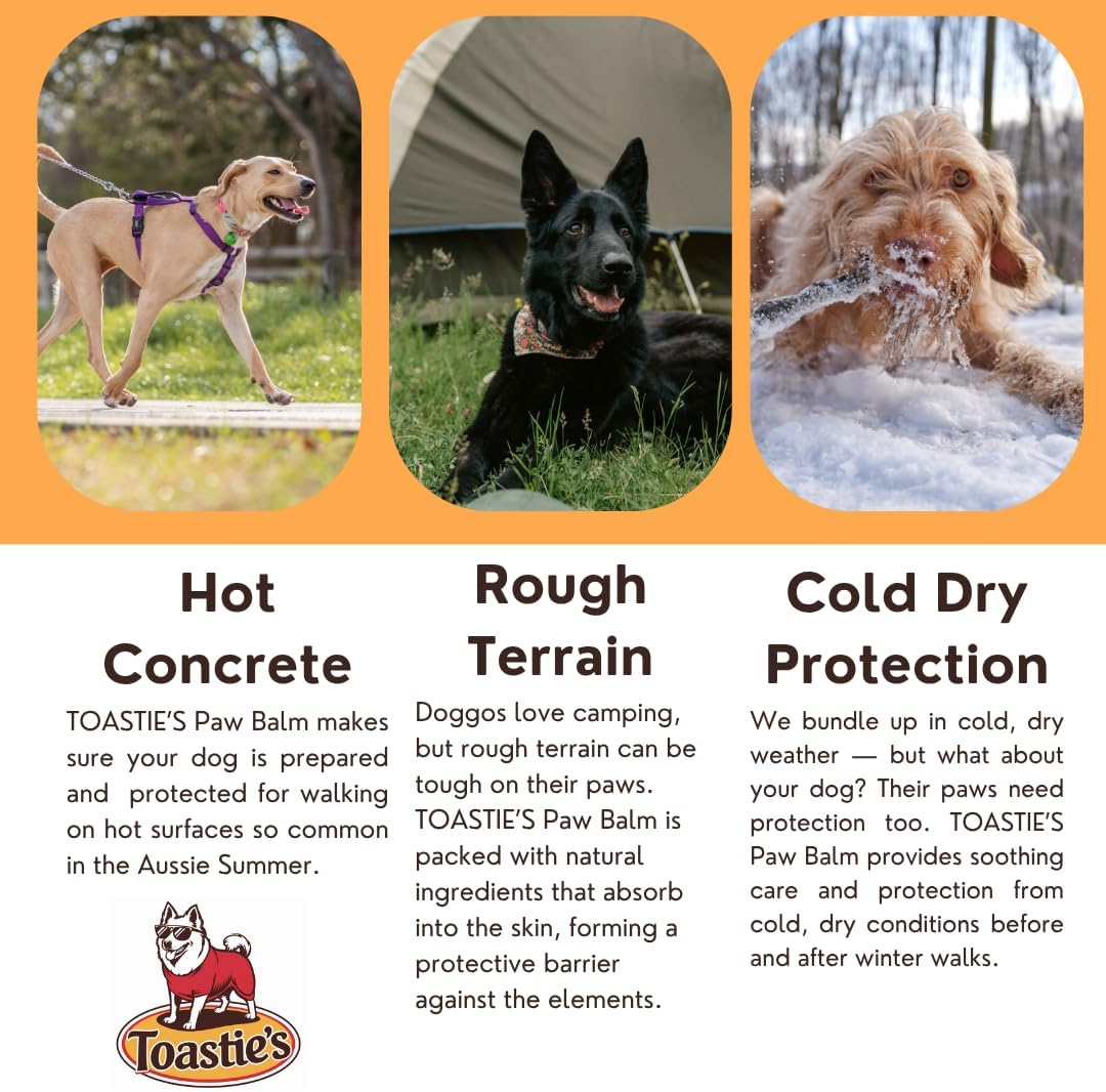 TOASTIE&rsquo;S Dog Paw Balm for Summer | Natural Moisturiser for Dry, Cracked Paws | Protects from Hot Footpaths, Sun & Heat | Lick-Safe & Non-Greasy image number 3