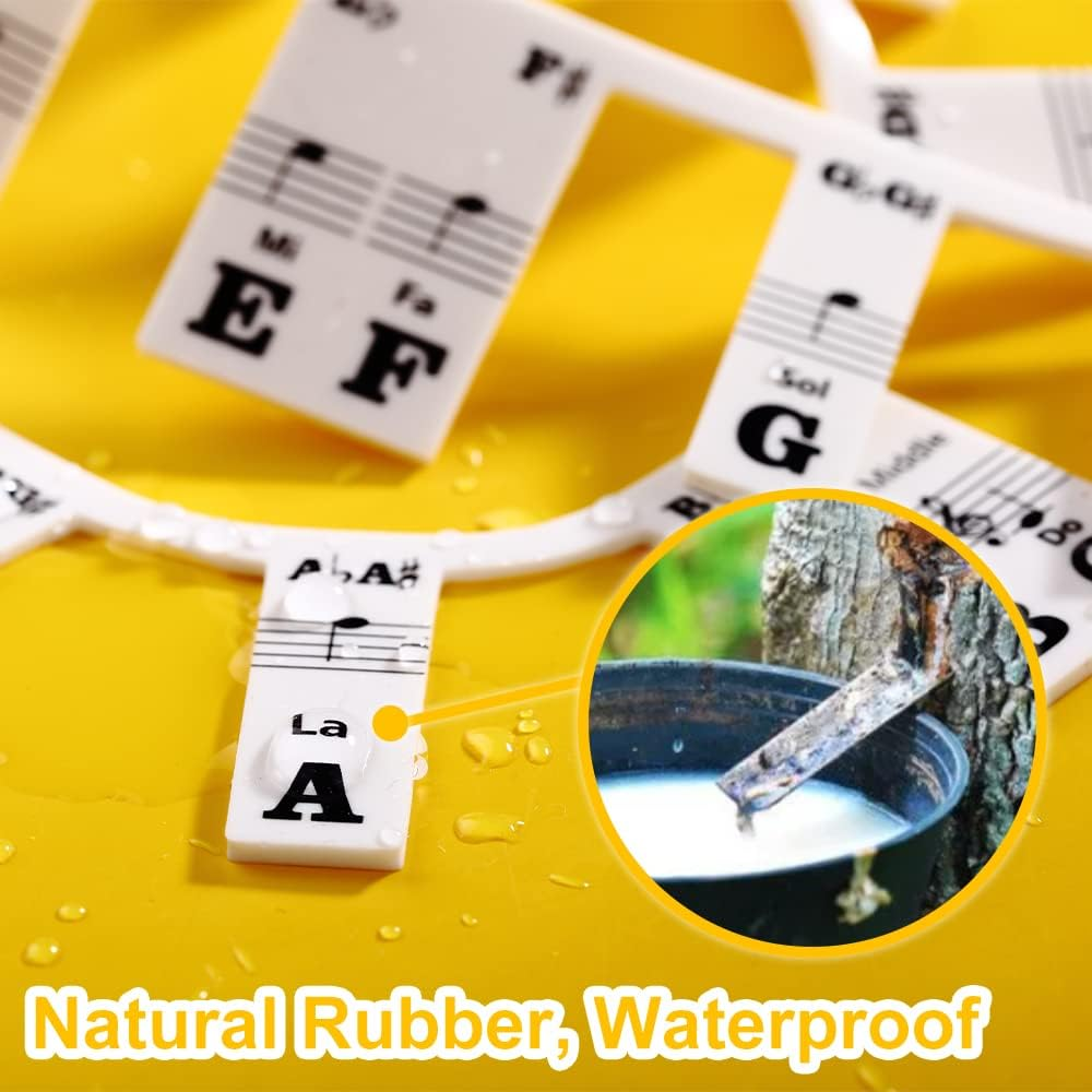 Piano Keyboard Stickers,Piano Keyboard Stickers Rakes Guide Learn Notes Marker Instantly Overlay for Beginners Kids image number 3