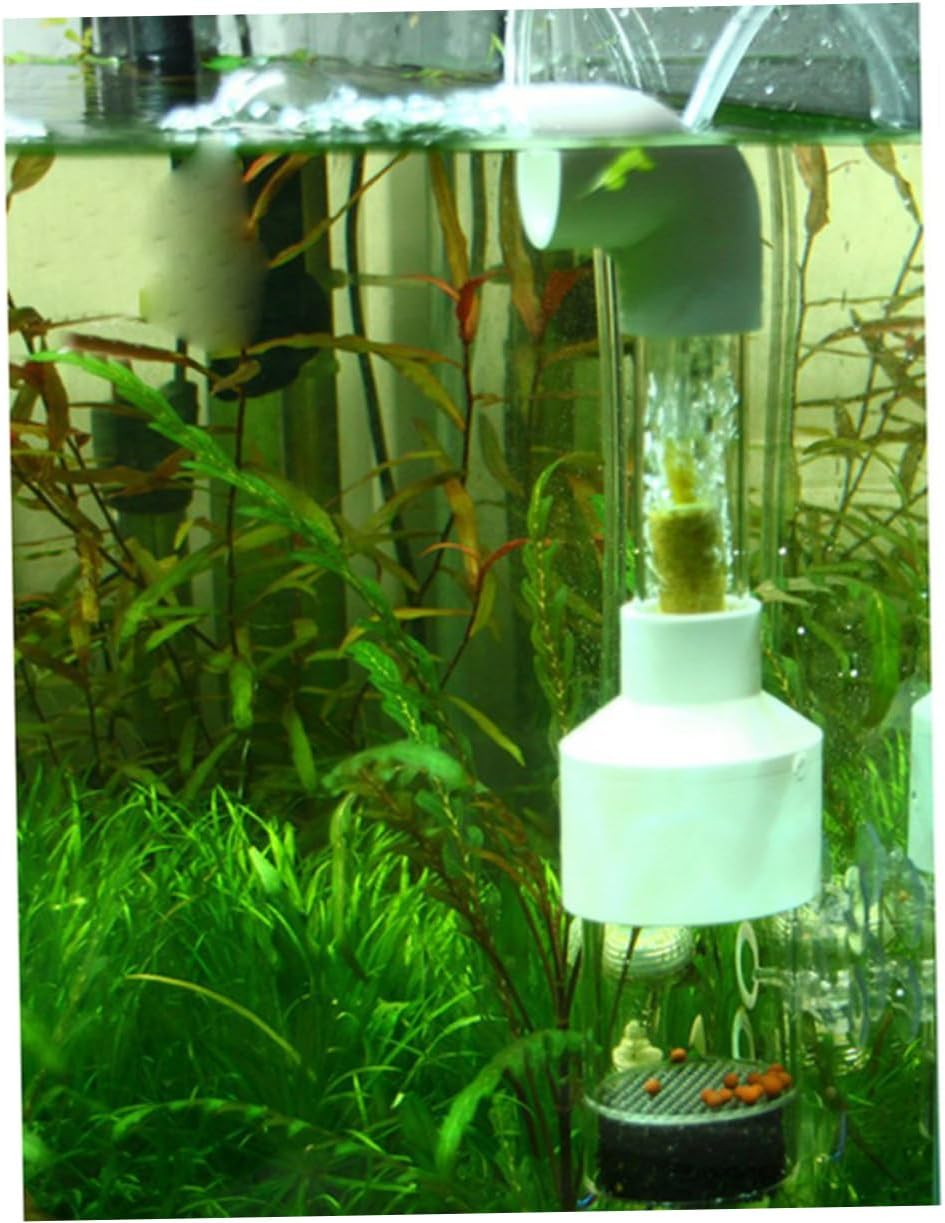 Sosoport Fish Incubator for Aquarium for Cichlids Breeding Helps Hatch Eggs Suitable for Fish Aquatic Pets Care