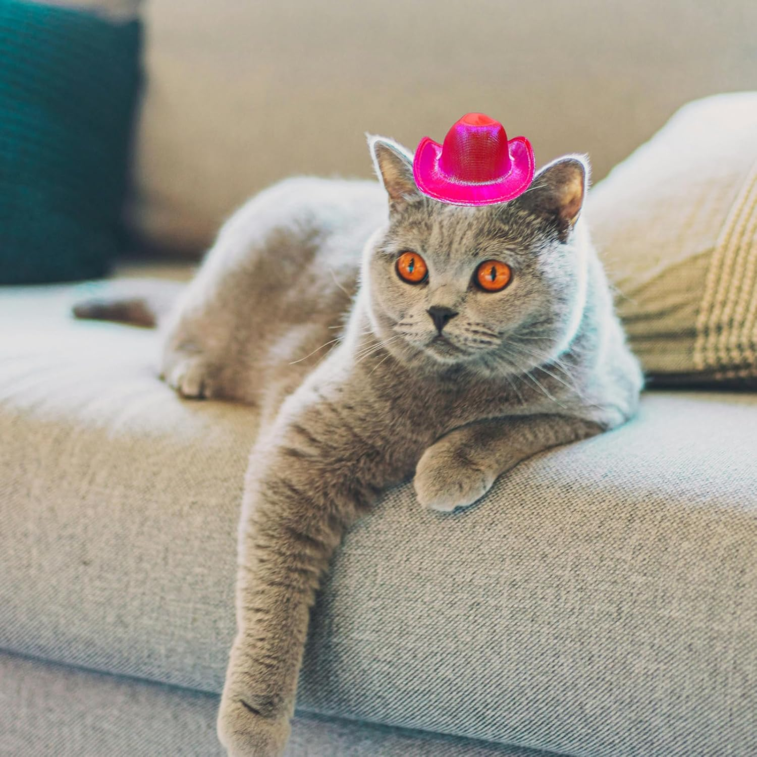 Dog and Cat Cowboy Hat, Pet Costume, Mini Hat for Halloween Party Decoration (Rose Red-Style2, Small) image number 5