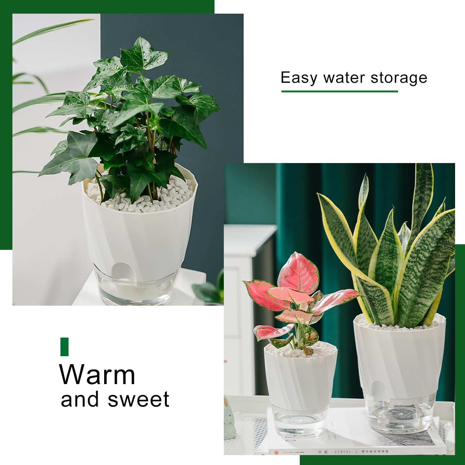 ROLMZJX 4 Pack Self Watering Pots,African Violet Pots，Clear Plastic round Plant Pots for Succulent, Flowers, Herbs for Office Home Decor（White-Large/Medium/Small） image number 1