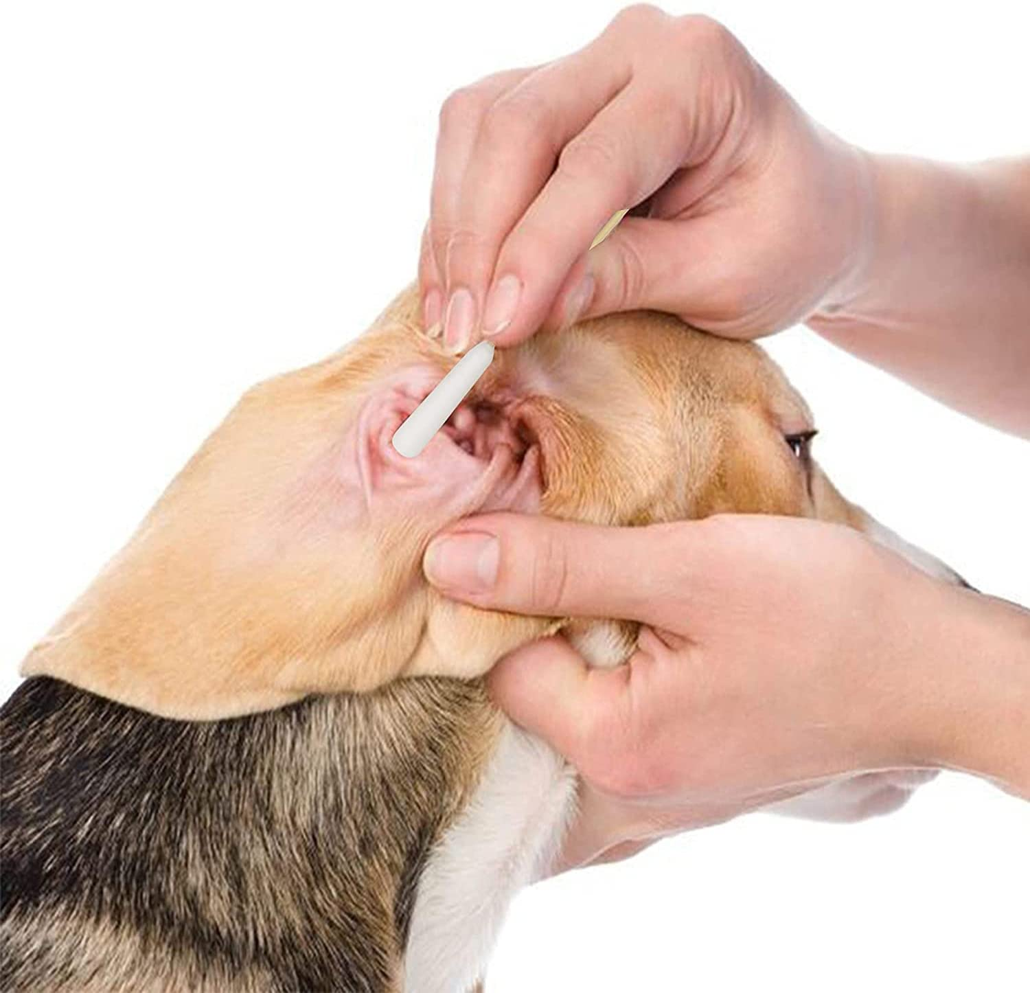 6 Inch Long Cotton Swabs of Medium and Large Pets Ears Cleaning or Makeup 200Pcs image number 4