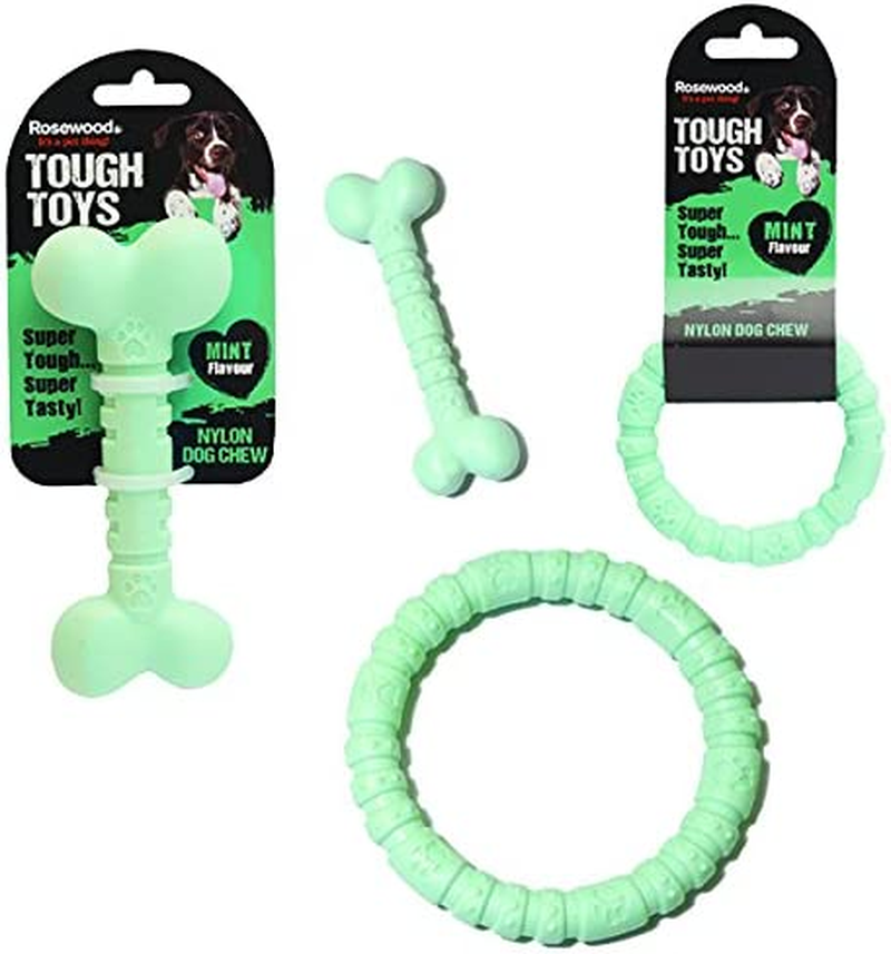 Rosewood Large Tough and Durable Chew and Teething Bone Shaped Dog Toy for Medium and Large Dogs Made of Tough Nylon Material, Mint Flavoured and Scented, Green, Clear