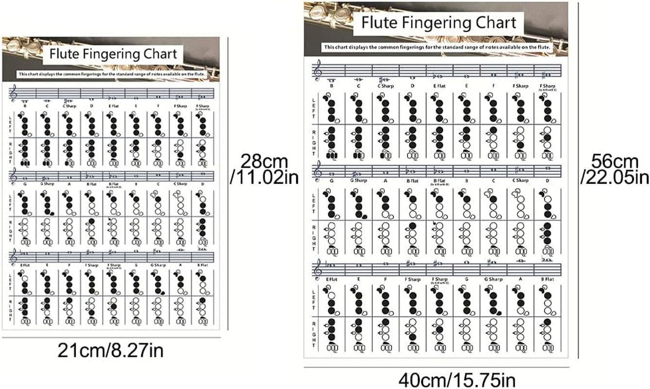 SYCOOVEN Flute Chord Chart, Durable Portable Fingering Practice White Chord Chart for Flute Fingering Practice Chord Chart Beginner Student for Teaching or Group Study(Size:S) image number 4