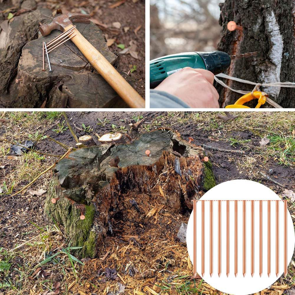 20 Pcs Copper Nails for Killing Trees, Stumps & - 3.5 Inch Long Come with 1 Steel Nails and 1 Drill Nail image number 5