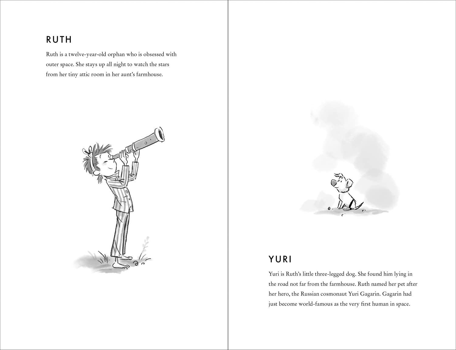 Spaceboy: a Book by David Walliams