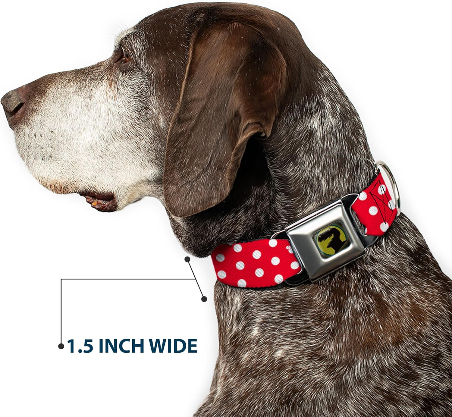 Buckle-Down Seatbelt Buckle Dog Collar - Minnie Mouse Polka Dot/Mini Silhouette Red/White - 1.5" Wide - Fits 13-18" Neck - Small image number 3