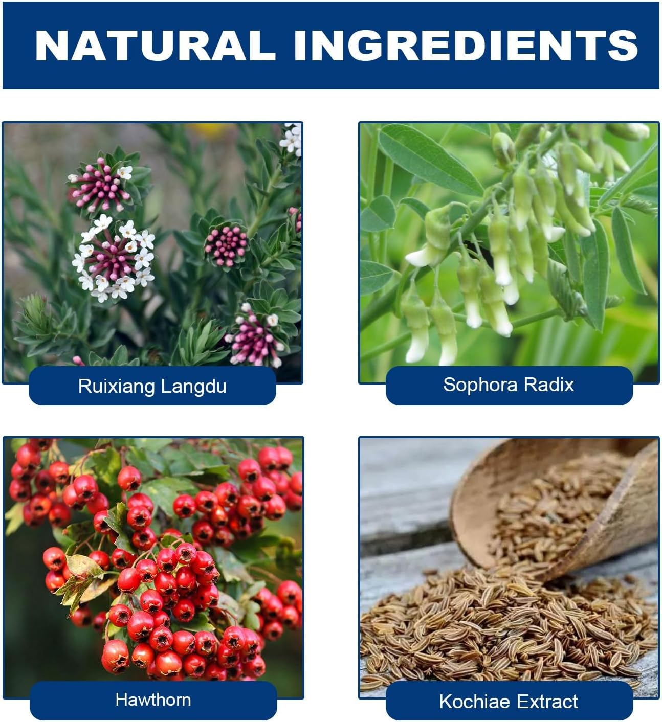 Wart Remover for Dogs,Dog Skin Tag Remover,Dog Wart Remover,Dog Wart Removal Treatment,Skin Tag Remover for Dogs,Effective Wart Removal for Dogs,Strong Warts Remover Dogs,Natural Dog Wart Removal image number 4