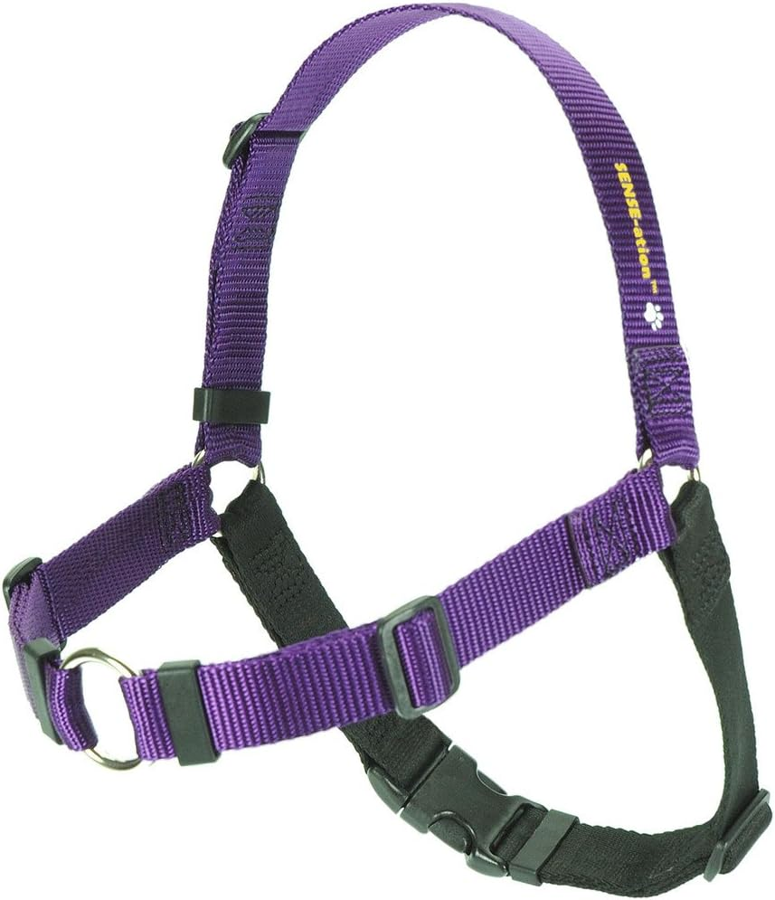 Sense-Ation Harness, No-Pull Dog Harness (Purple, Large Wide