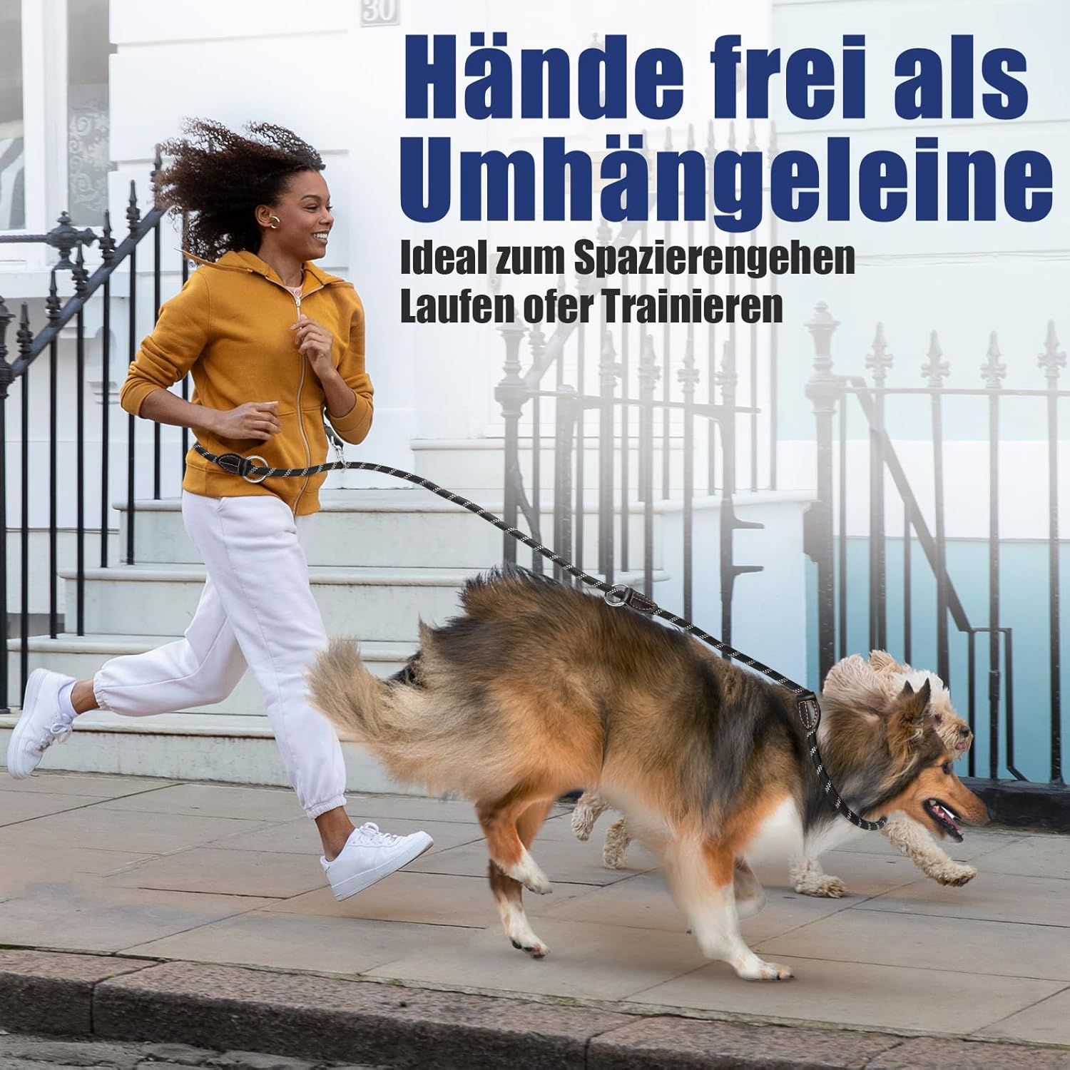 Dog Lead for Large and Medium Dogs, Adjustable Dog Lead 3 M with Reflective Strips, Nylon Double Lead, Thickened Free Leads with 2 Carabiners Thanks to the Extreme Force up to 200 Kg, Black image number 6