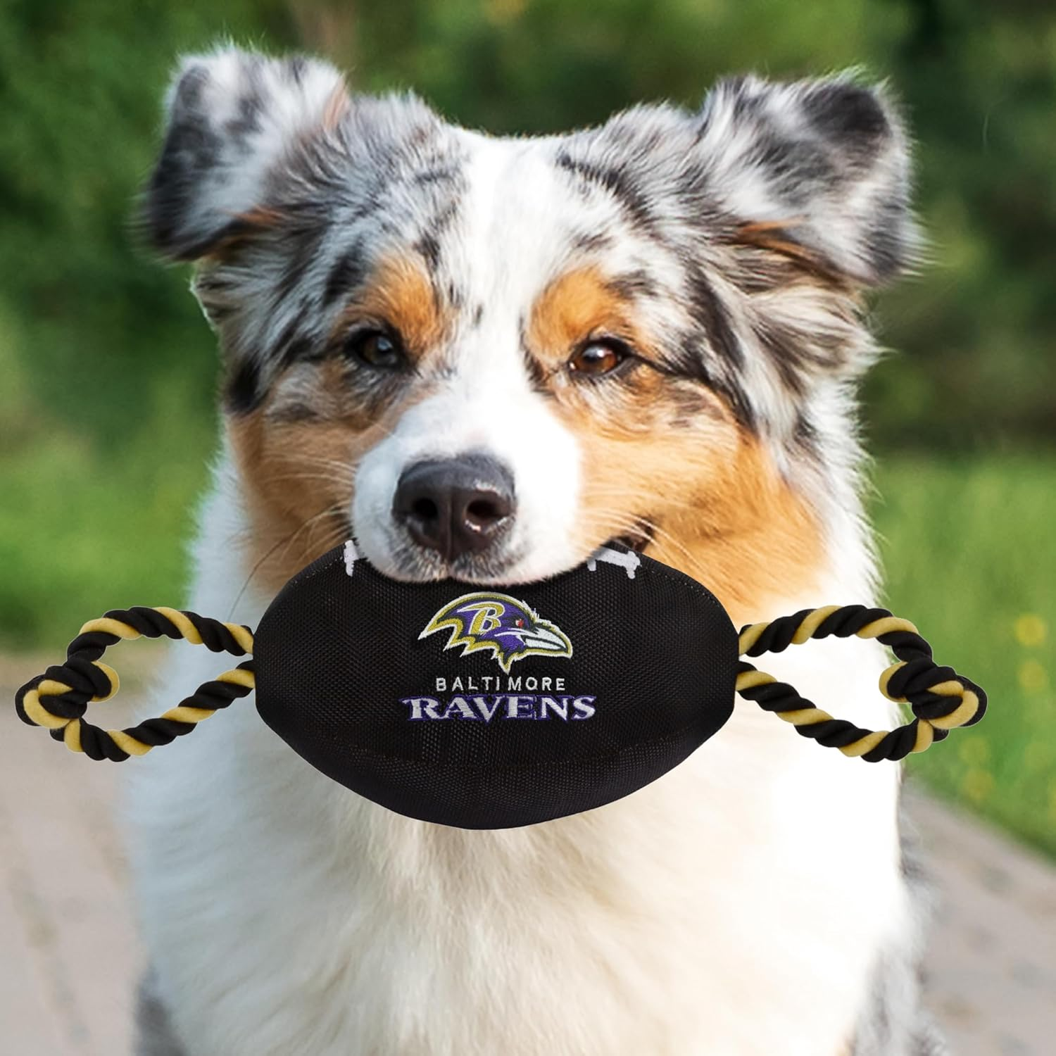 Pets First NFL Baltimore Ravens Football Dog Toy, Tough Nylon Quality Materials with Strong Pull Ropes & Inner Squeaker in NFL Team Color (BAL-3121) image number 7