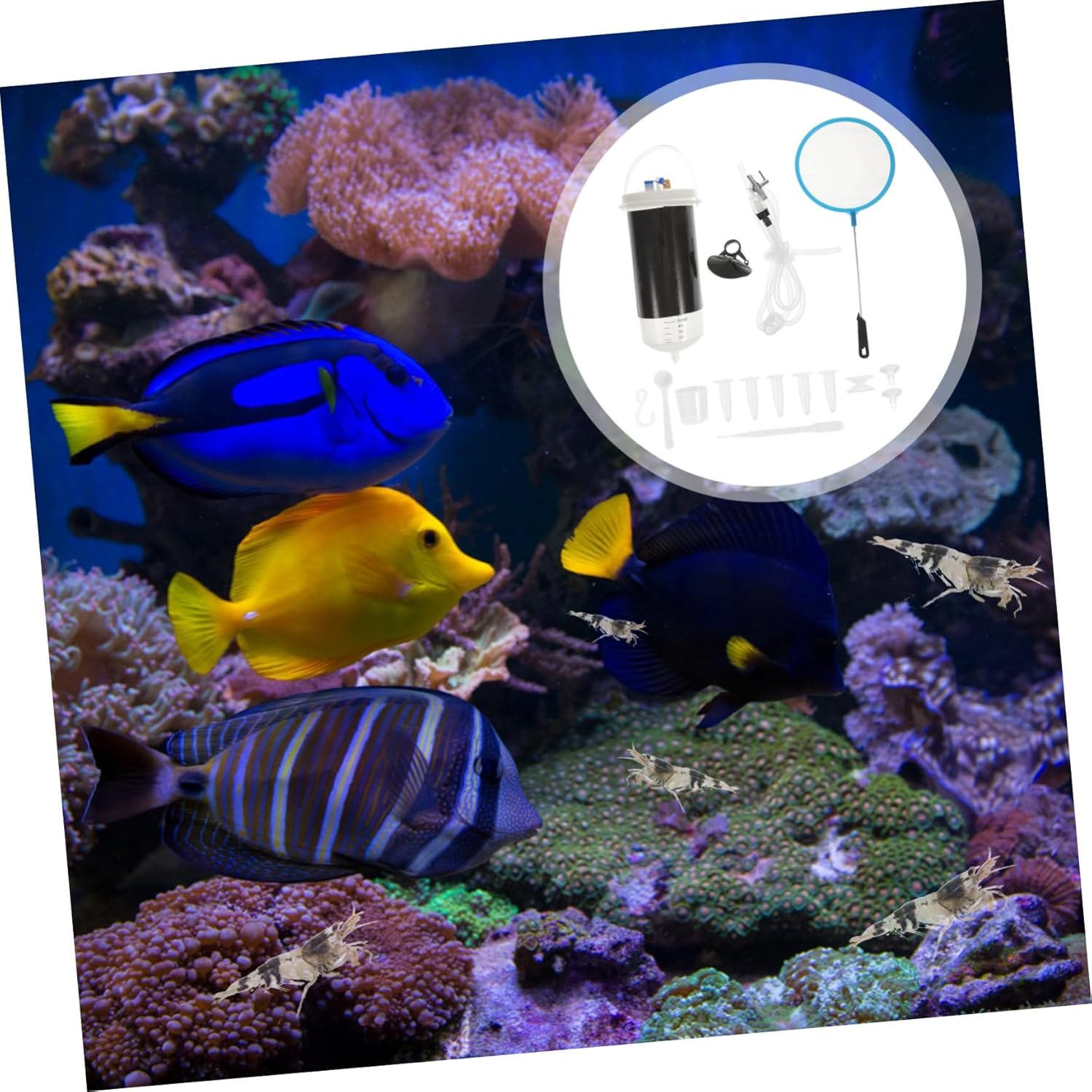 COLLBATH Brine Shrimp Incubating Box Aquarium Hatchery Tank Plastic Shrimp Hatchery Container for Fish Breeding and Aquatic Pets