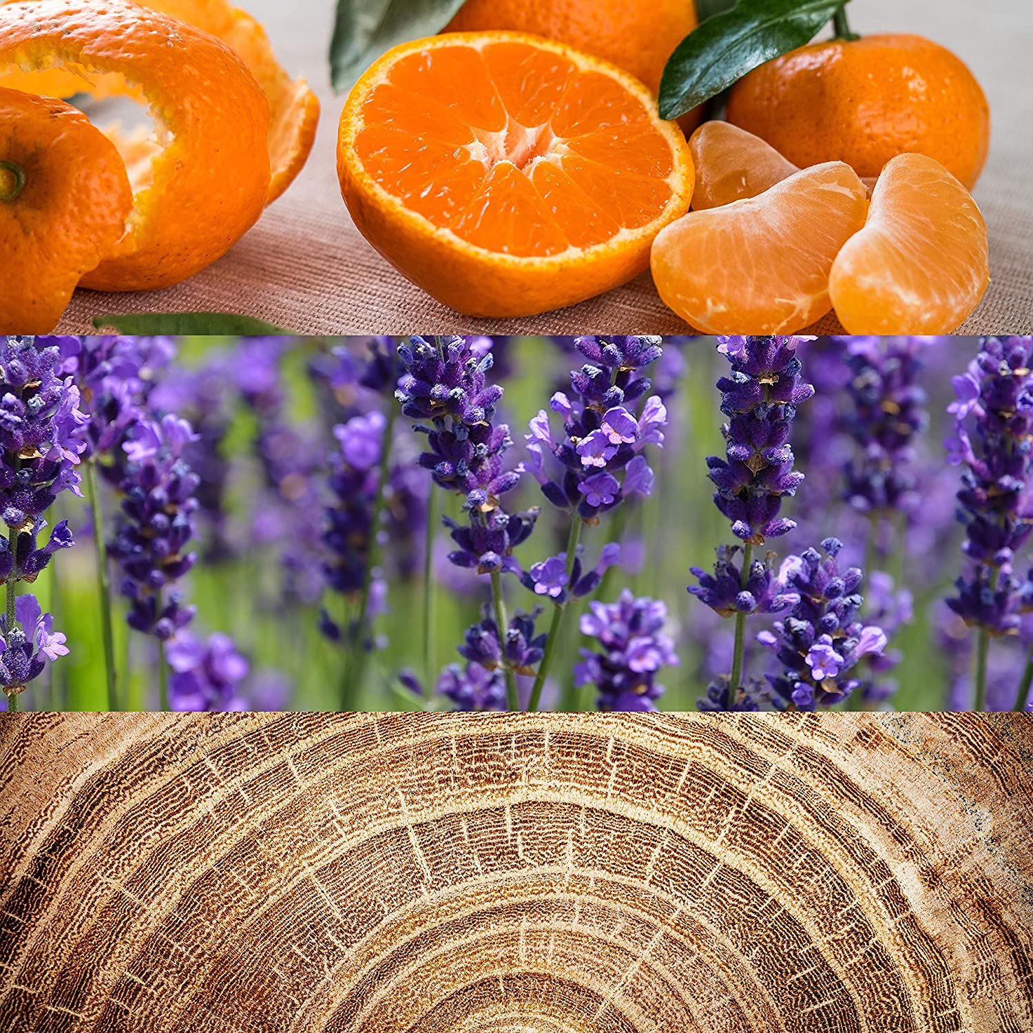 Obsession for Men Eau De Toilette Spray 75Ml