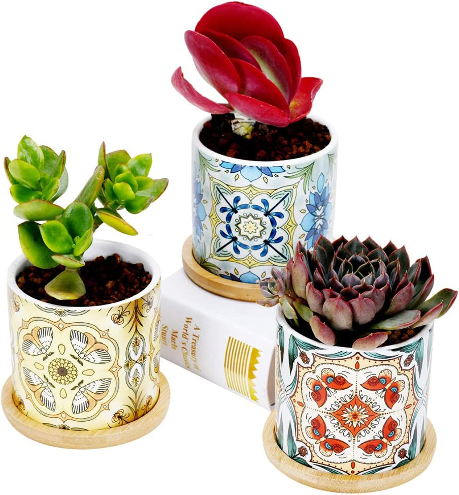 Sun-E Plants Succulent Pots Cactus Pot Mini Plant Planters Decorative Ceramic Planter Gift Idea Indoor Flower Pots with Drainage Home Office Decorations Dragonfly-Butterfly -Moth Series 3PCS image number 6