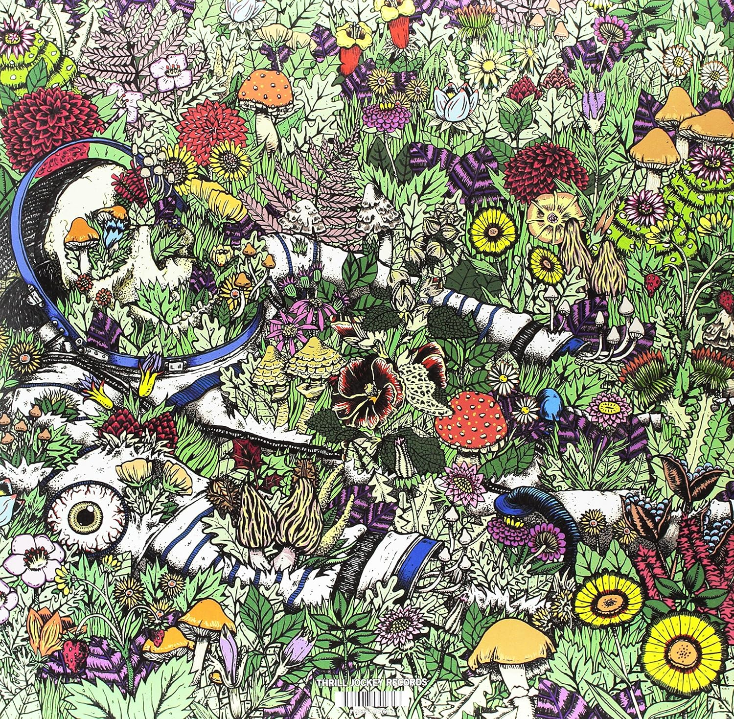 Whatever Forever (2LP) image number 1