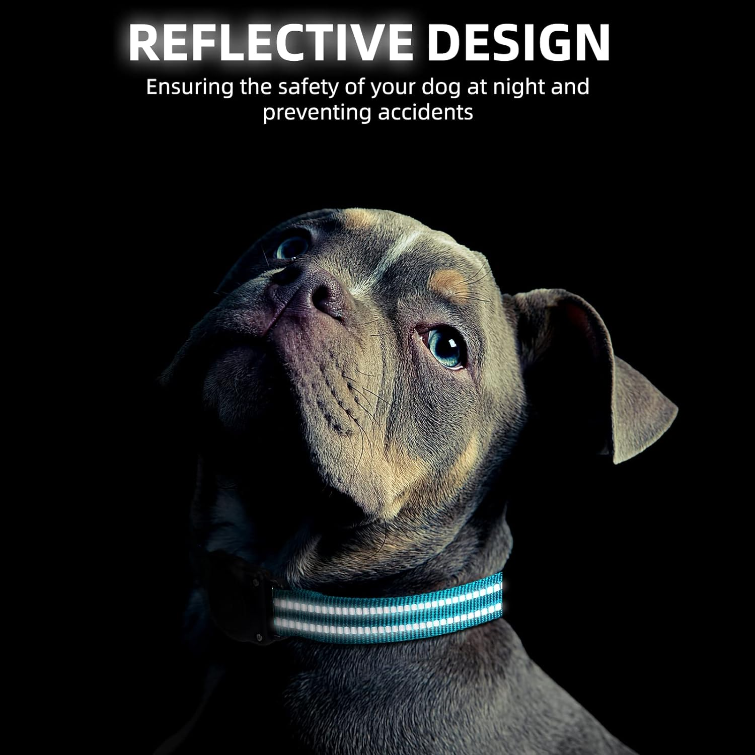 Airtag Dog Collar, 100% Waterproof Integrated Apple Air Tag Dog Collars, Reflective GPS Dog Collar with Hard PC Airtag Holder Case for Small Medium Large Dog image number 3