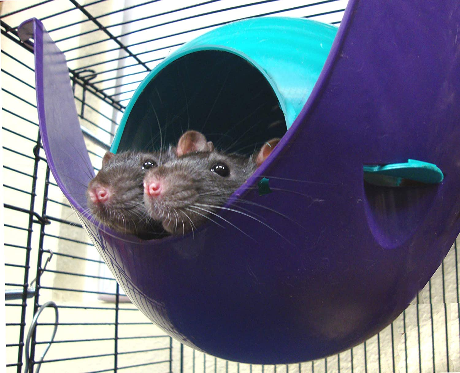 Lixit Critter Space Pod, Perfect for Small Animals, Large image number 6