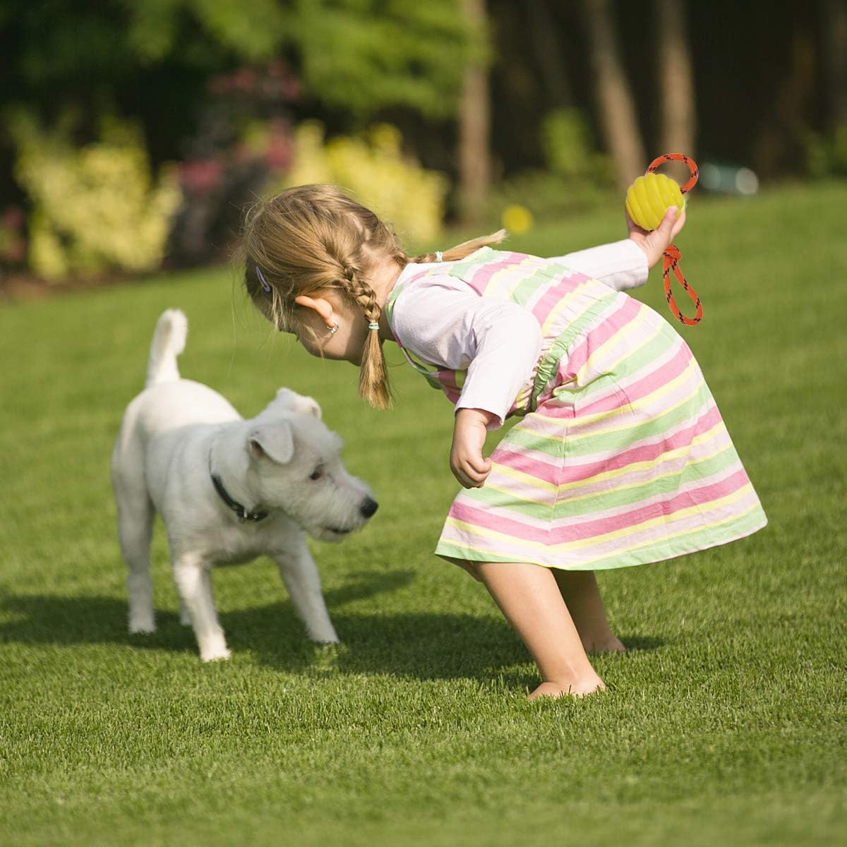 Nevperish K9 Training Ball with Rope, Exercise and Reward Toy for Dogs - Indestructible Dog Toy Ball with Handle for Training Pull, Throw, Tug - Belgian Malinois Gifts