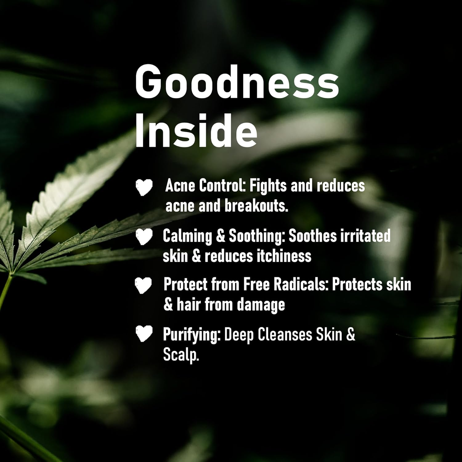 Minature Neem Leaf Powder 100G (3.5Oz) image number 4