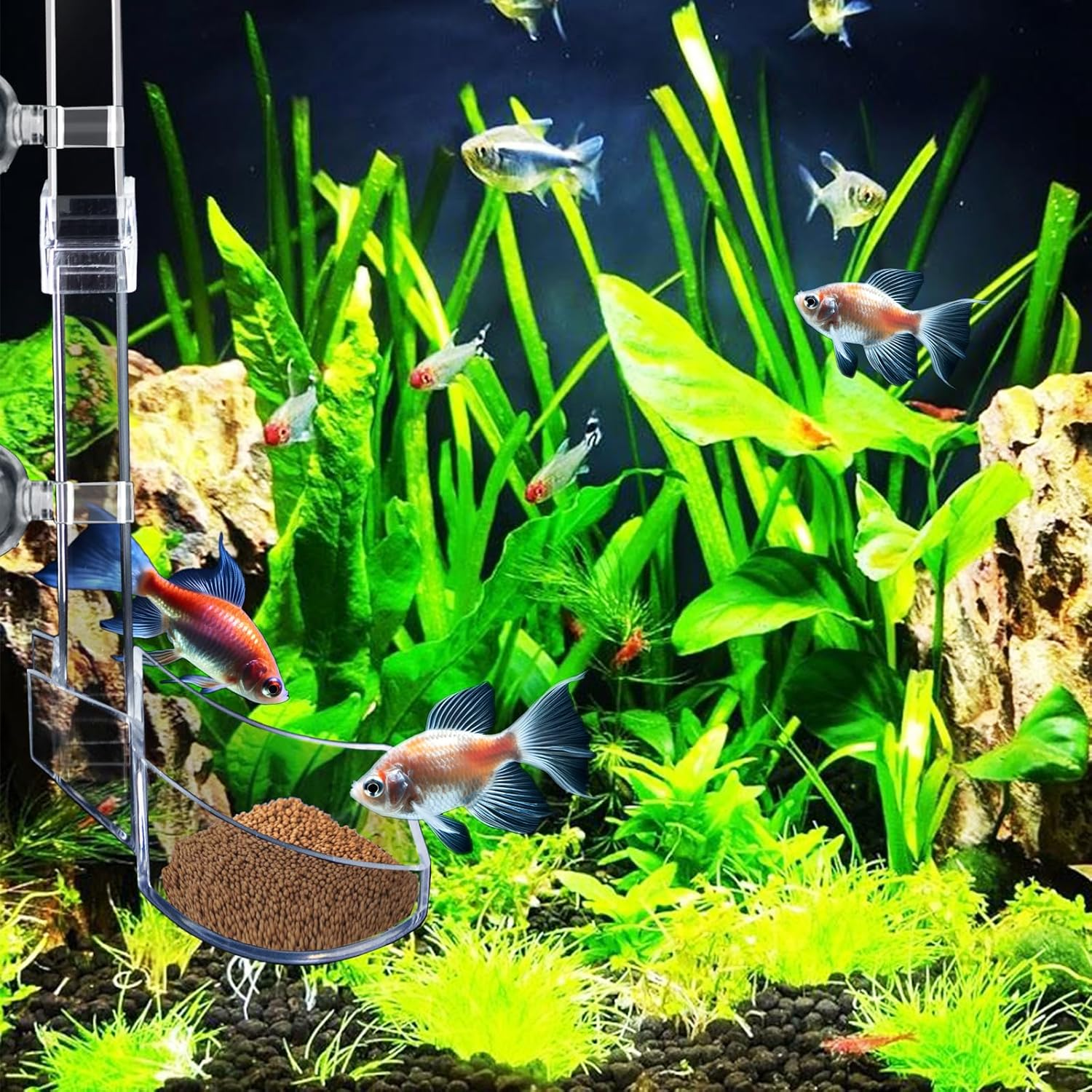 Aquarium Feeder Tube Set for Shrimp Feed Aquarium Feed Tube Kit Shrimp Feeder Bowl Set Pipe and Feed Bowl for Shrimp Food with Feeding Ring, Cleaning Brush image number 4