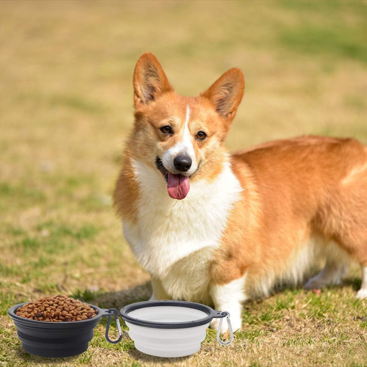 Collapsible Dog Bowl,2 Pack Portable and Foldable Pet Travel Bowls Collapsable Dog Water Feeding Bowls Dish for Dogs Cats and Small Animals,With Lids (Black+White, Small) image number 5