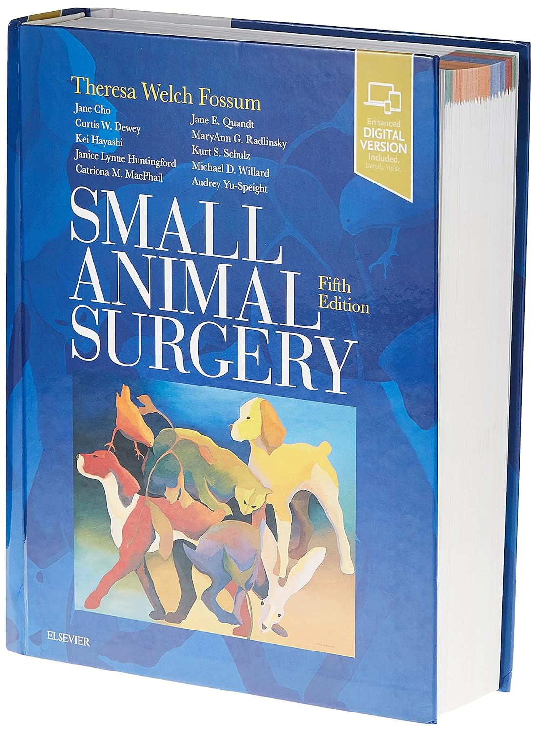 Small Animal Surgery