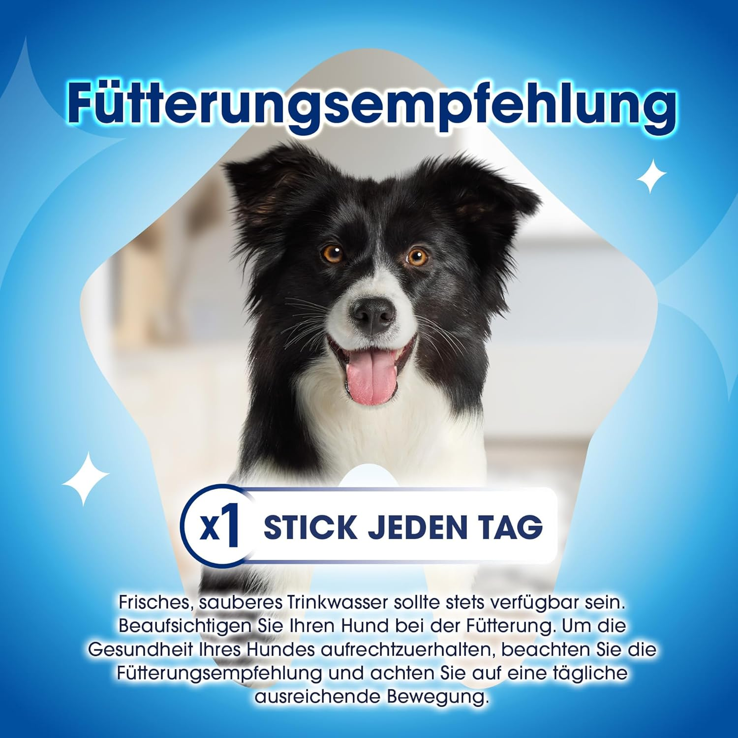 Dentalife Purina 5 X 345 G Maxi Tooth Care Snacks for Small and Large Dogs, Reduces Tartar Formation image number 6