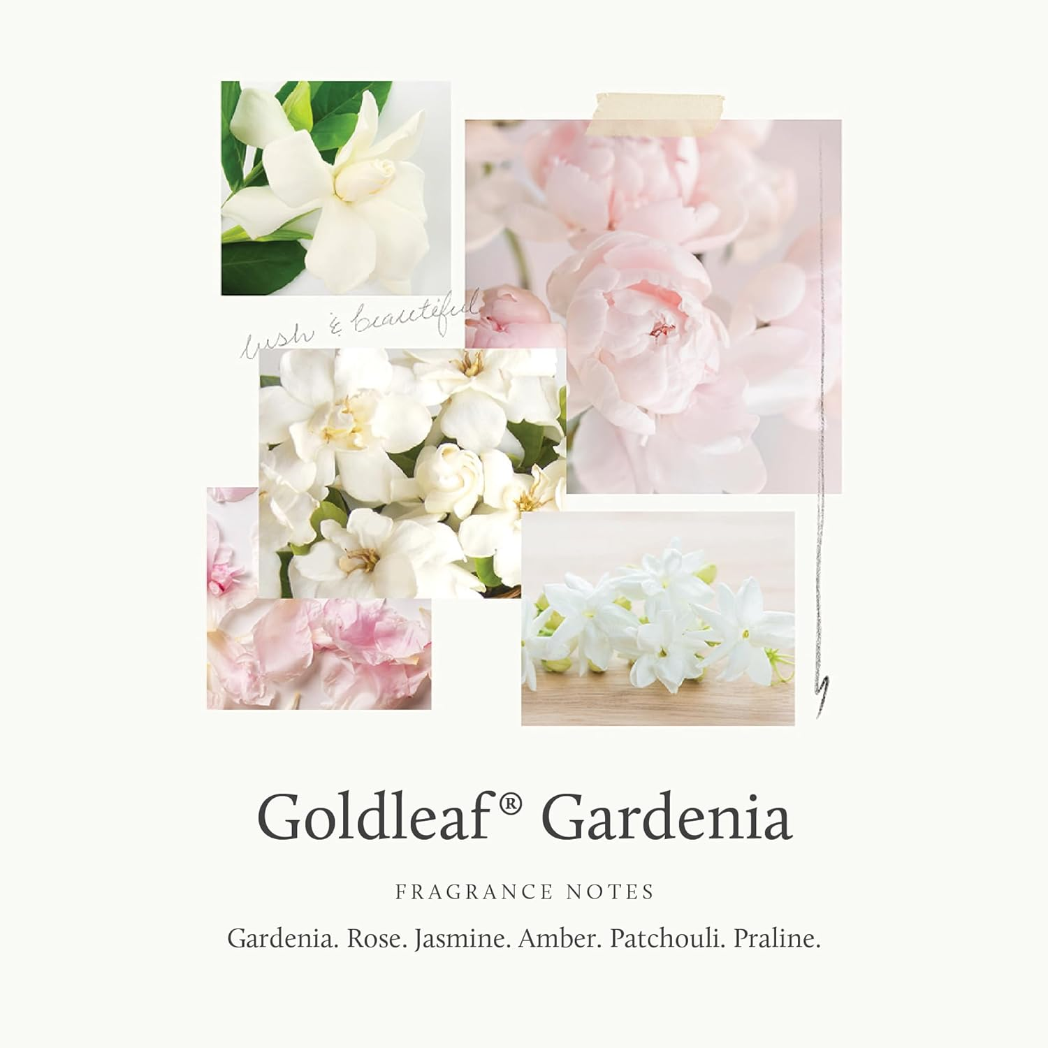 Thymes Goldleaf Gardenia Perfumed Body Wash 270Ml/9.25Oz image number 1