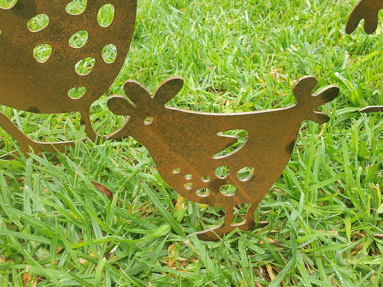 Funky Chickens Garden Stake - Australian Made Rusted Metal Garden Art image number 4