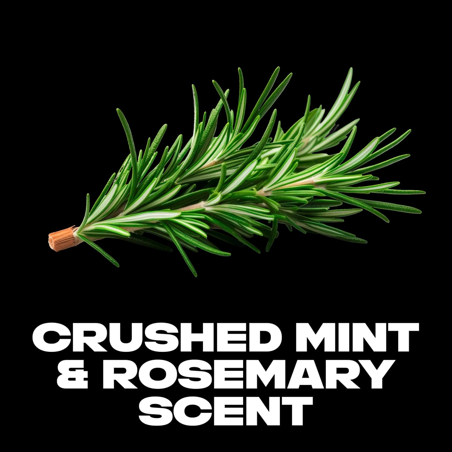 AXE Antiperspirant Stick for Men, Phoenix 2.7 Oz image number 4