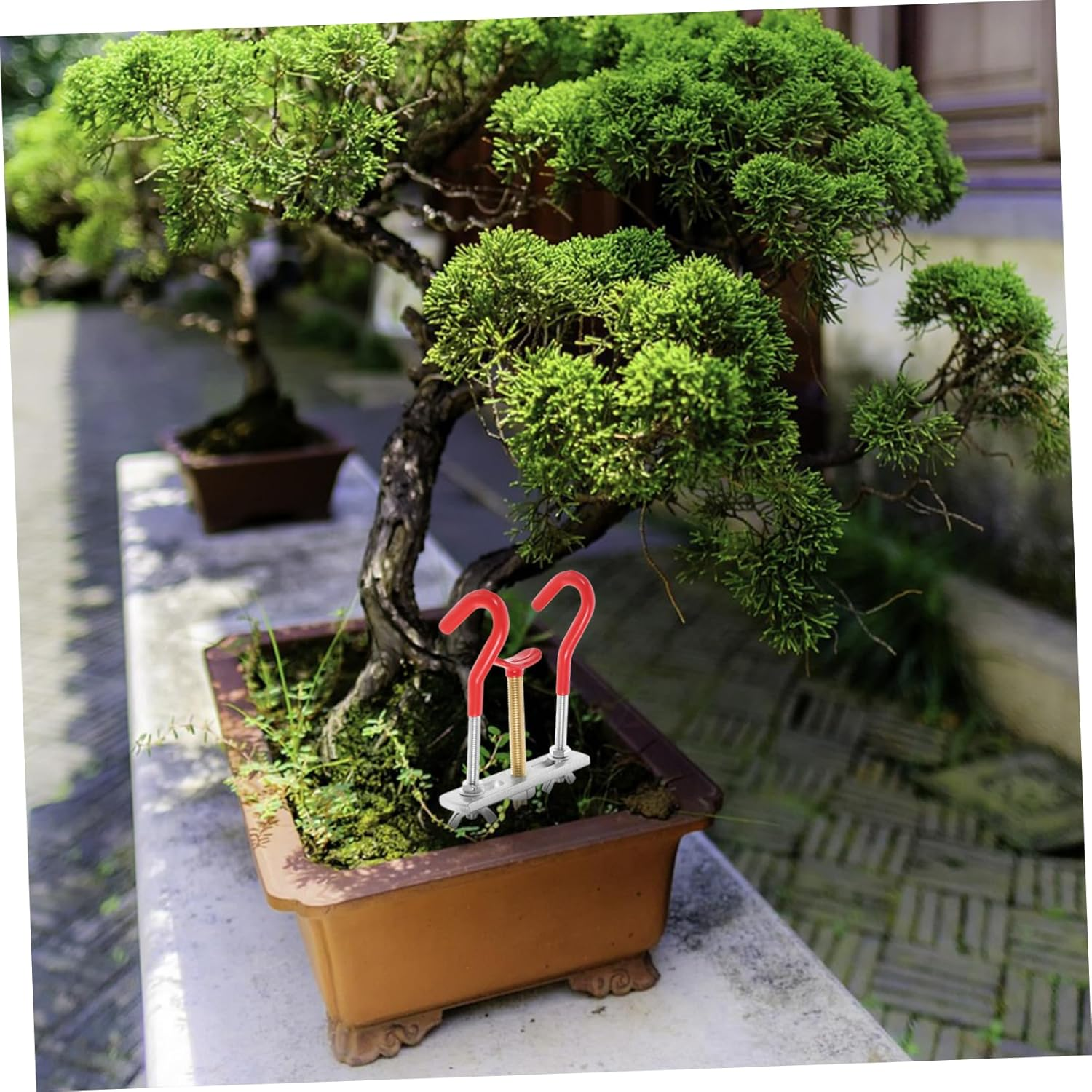 BESPORTBLE Bonsai Branch Bender and Tree Branch Bending Tool for Outdoor Garden Bonsai Styling, Small Size Adjustable Tree Trunk Adjuster for DIY Plant Shaping image number 3