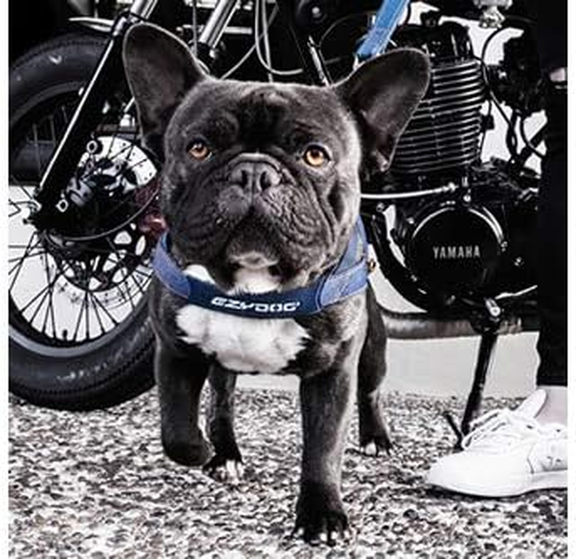 EZYDOG Quick Harness, Dog Harness, Denim, Size M image number 3