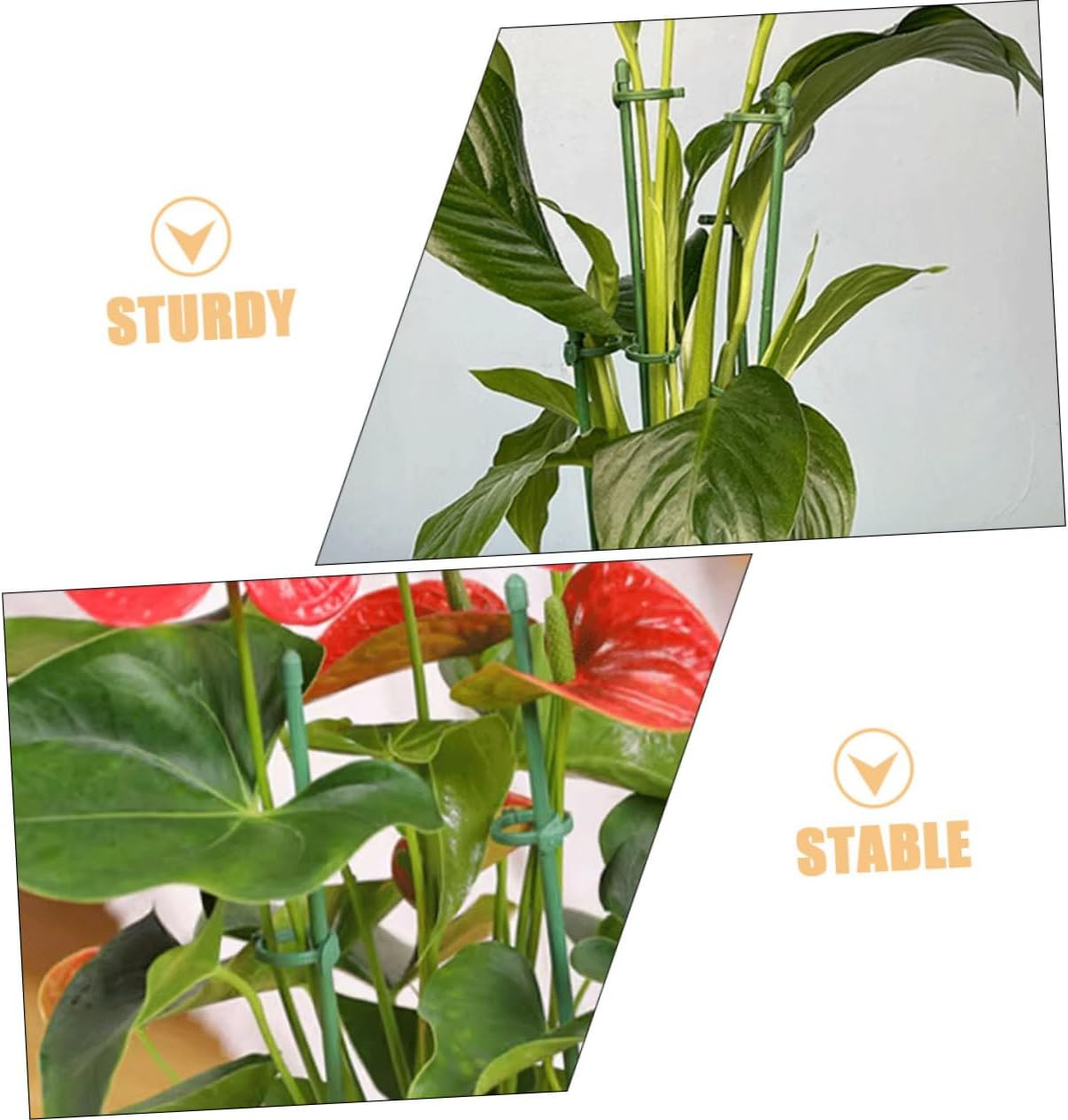 12Sets Plant Support Stakes Garden Floral Flower Support Stake Plant Stem for Healthy Growth for Gardening image number 4