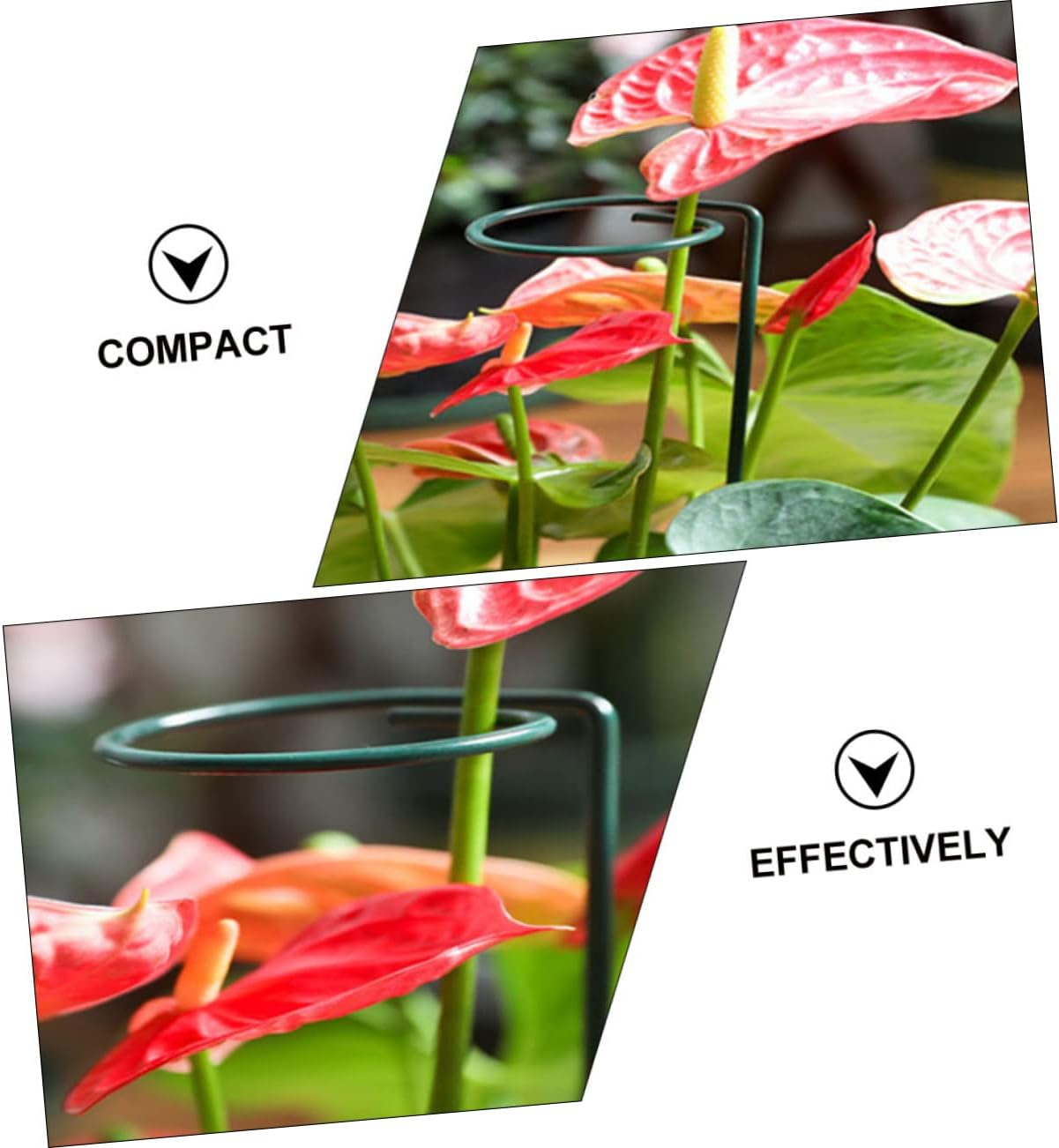 5Pcs Garden Plant Support Stakes Single Stem Support for Hydrangea Plant Stands Height for Orchids and Flower Growth Stabilization image number 1