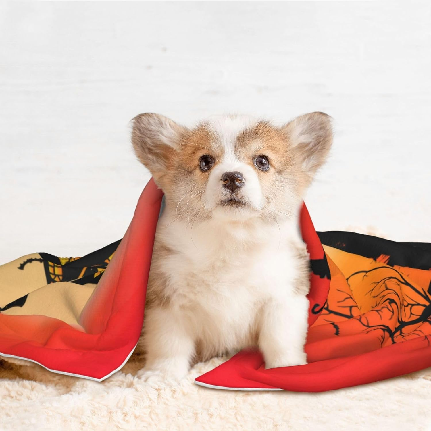 Plush Pet Blanket Pumpkins Moon Ghost Halloween 3D Paw Print Design Soft Fluffy Blankets Throw for Dog Puppy Cat Kitten Pets Gifts Medium