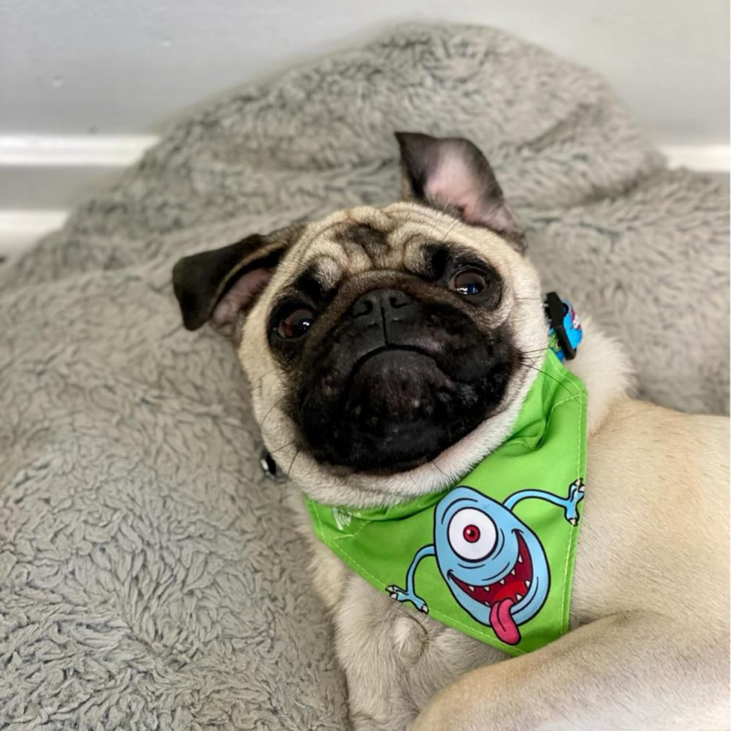 Bandana for Cats & Dogs (Little Monster) - Large image number 3