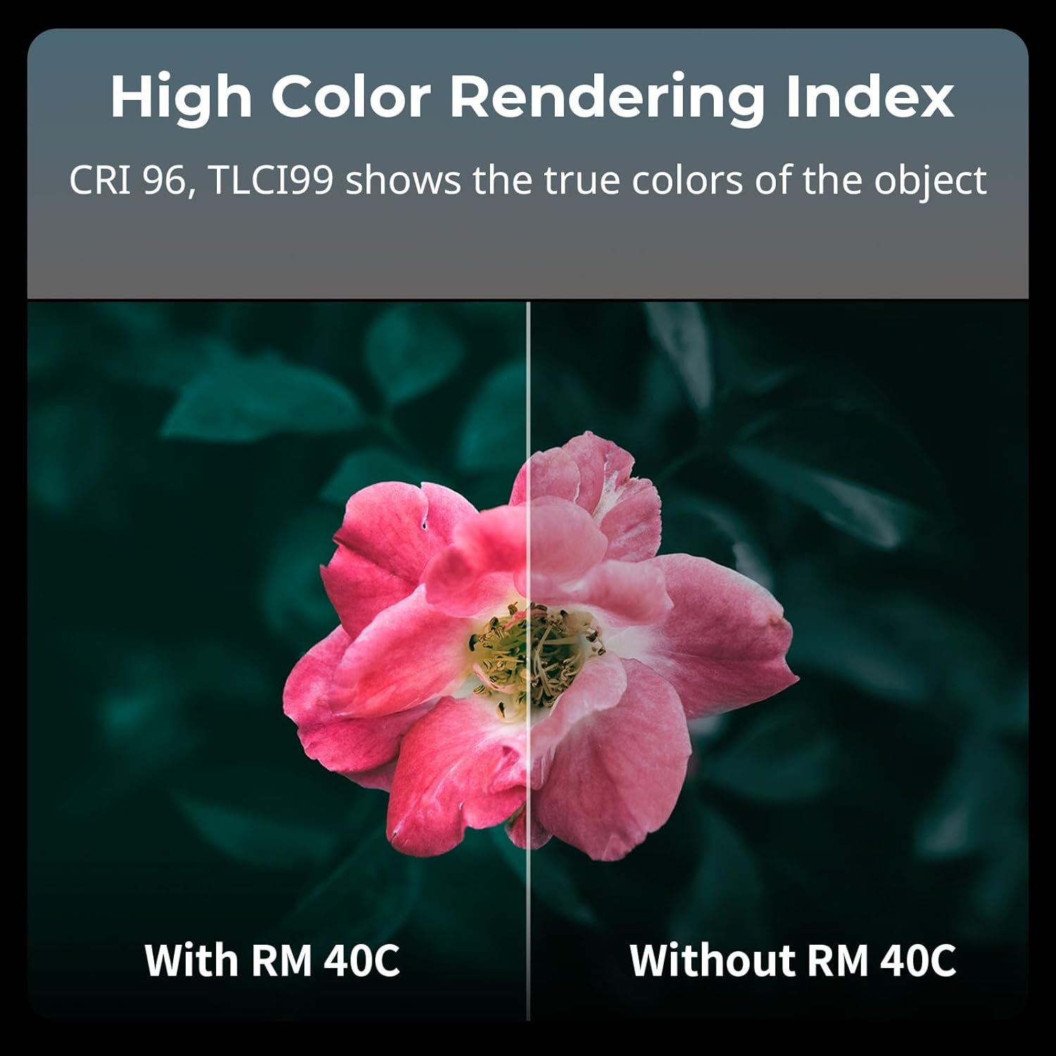 Smallrig RM 40C Mini LED RGB Video Light, 4800Mah Battery, LCD Display, Portable Camera Light for Tiktok Youtube Content Creators Photographer Gifts, 2500K-10000K CRI 96 TLCI 99, Magnetic Mount - 5359 image number 2