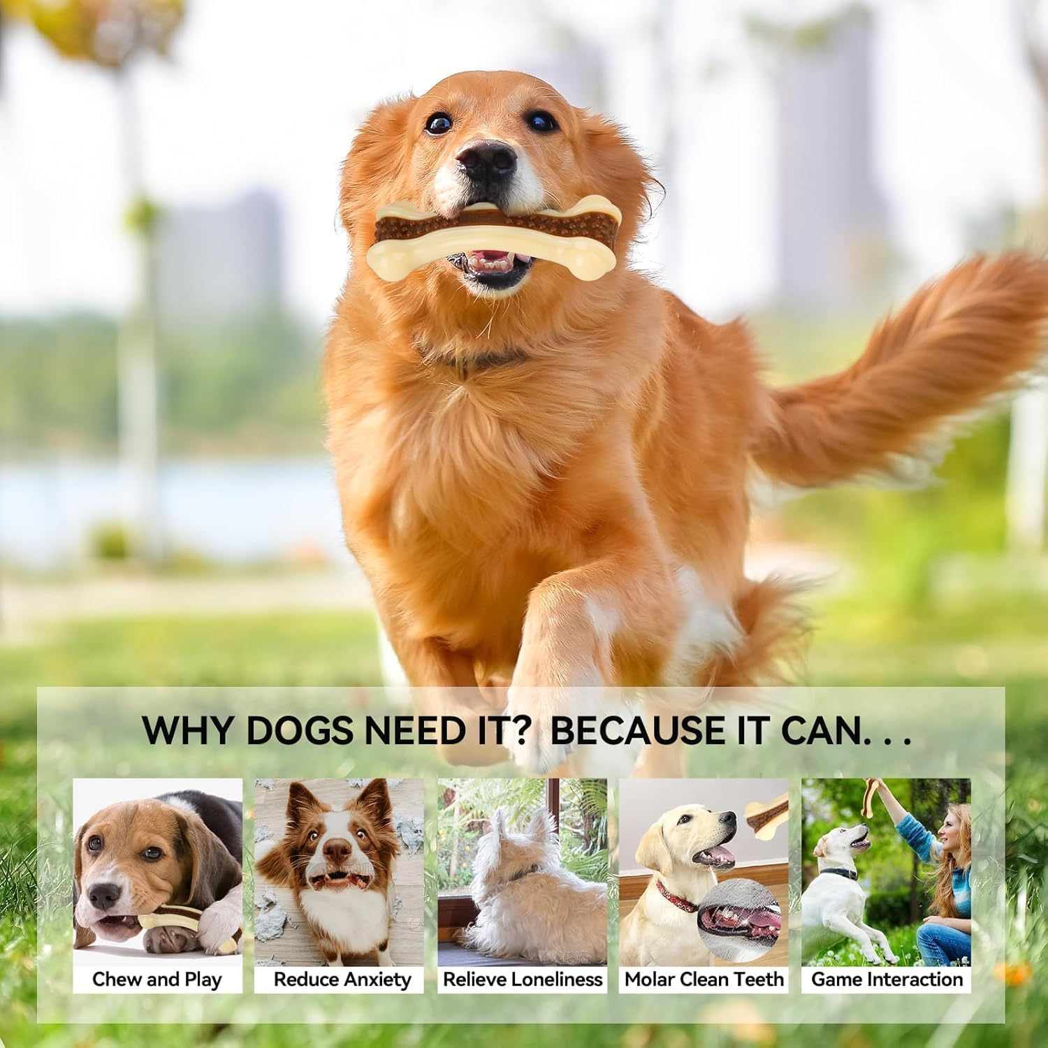 Dog Toys for Aggressive Chewers, 2 Pack Nylon Durable Dog Bones with Real Beef Flavor for Large/Medium/Small Breeds Pet Chew Toys