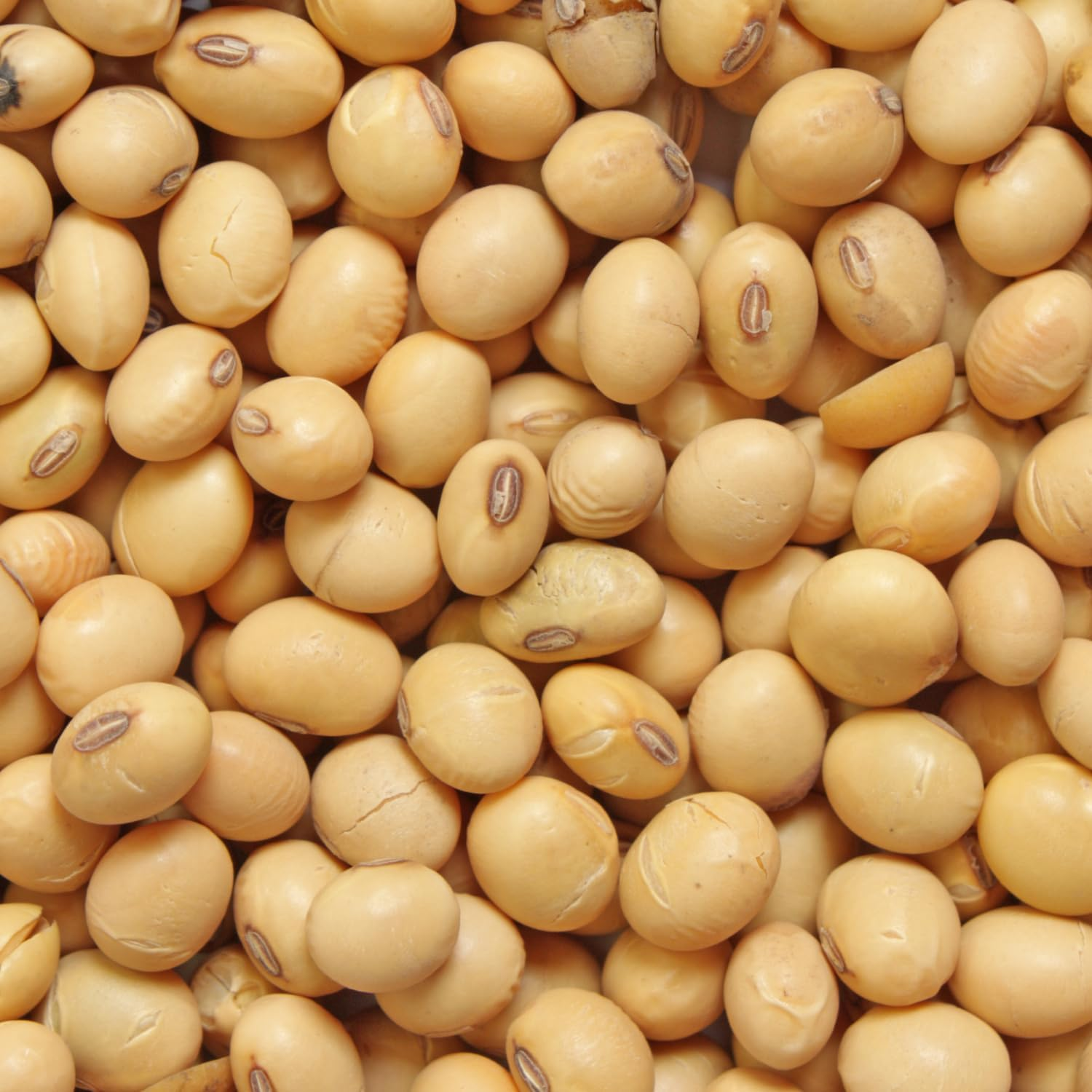 Megachef Gluten Free SOYA Sauce, 500 Ml image number 3