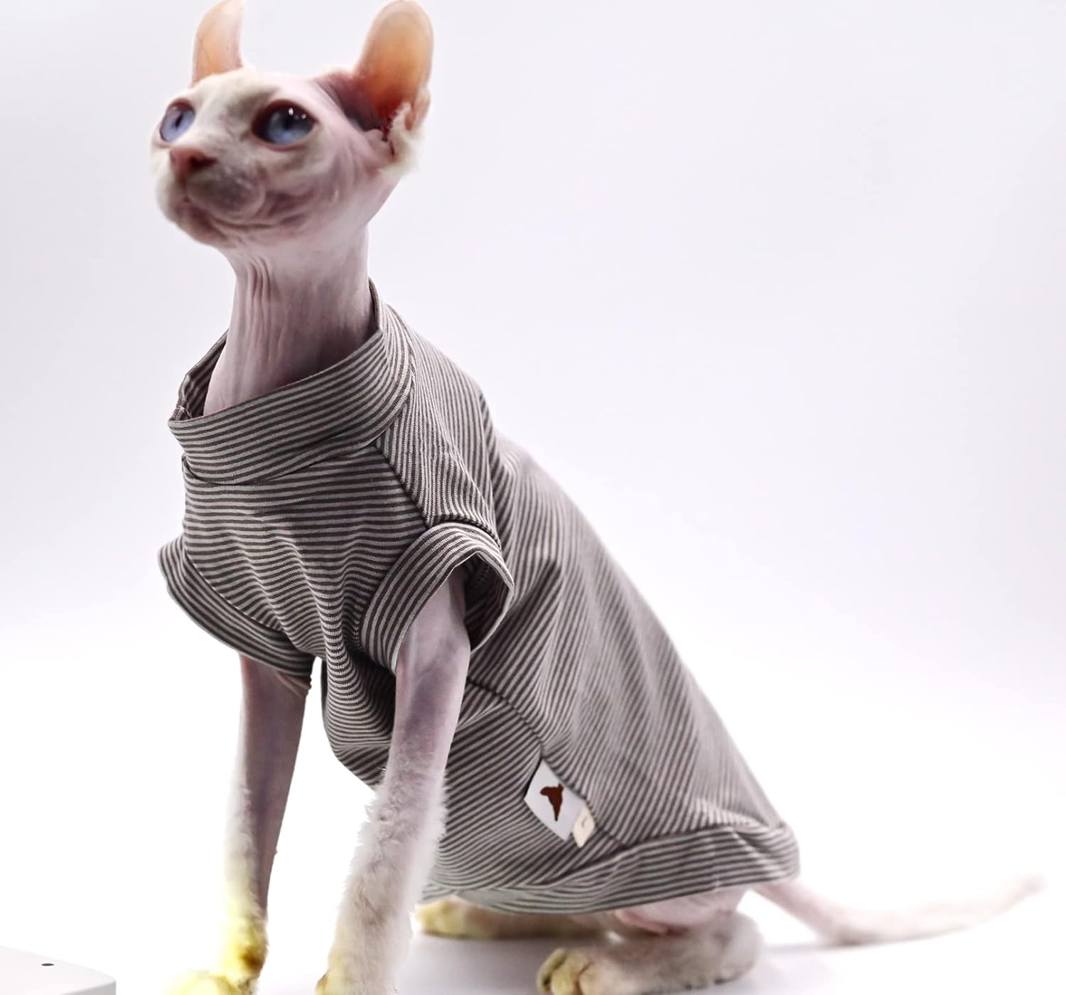 Cotton Sphynx Cat Clothes Spring and Summer Thin High Elasticity Devon Rex, Konish Clothes Hairless Cat Clothes Cat Apparel for Small Cats and Dogs (Brown, Xx-Large)