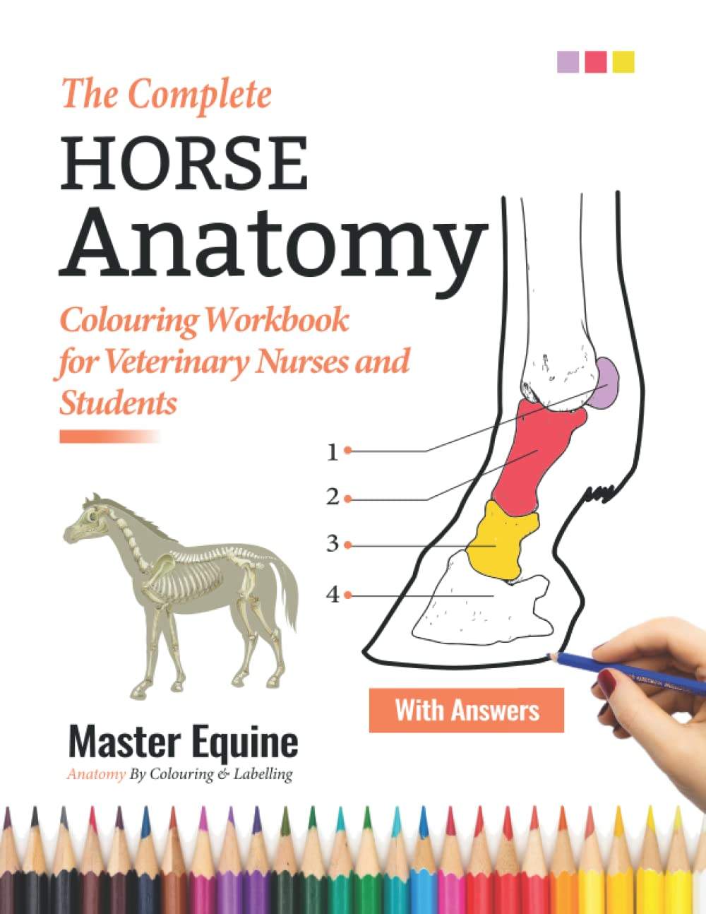 The Complete Horse Anatomy Colouring Workbook for Veterinary Nurses and Students - Master Equine Anatomy by Colouring and Labeling: the Perfect ... Gifts & Presents for VET Horse Lovers, Girls image number 1