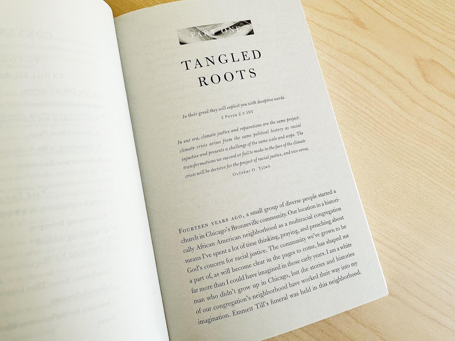 Plundered: the Tangled Roots of Racial and Environmental Injustice image number 3