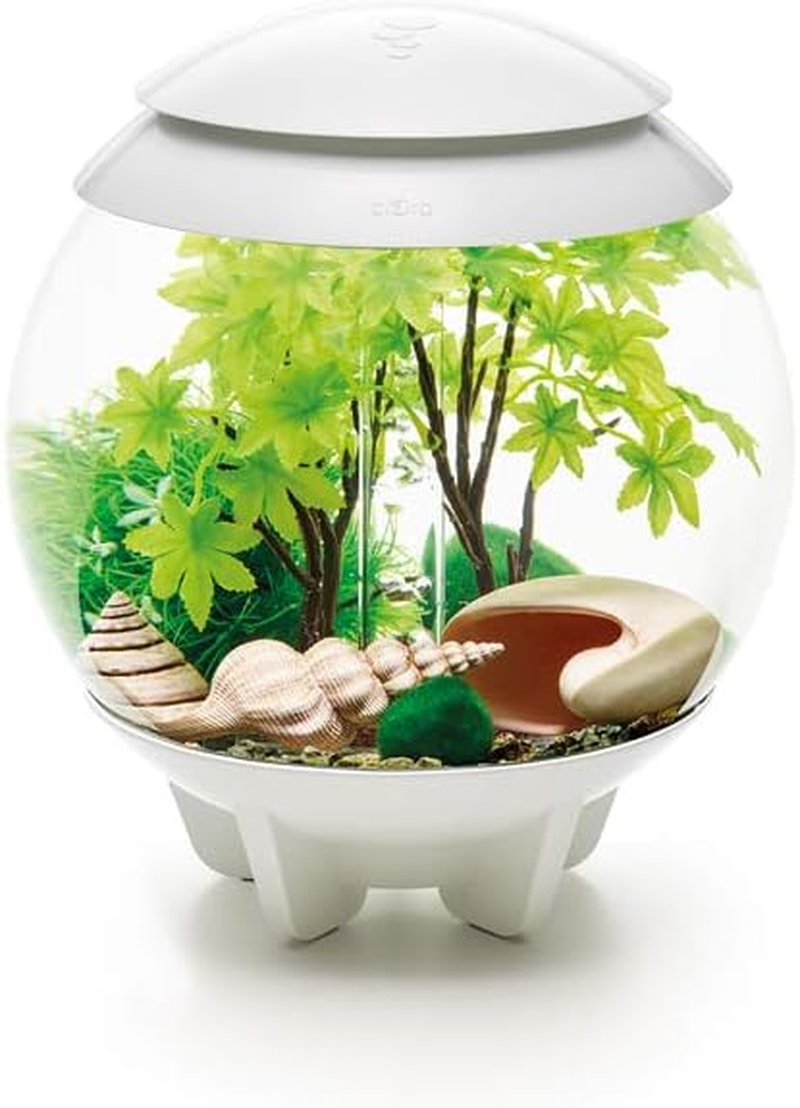 Biorb Decor Set 15L Summer image number 6