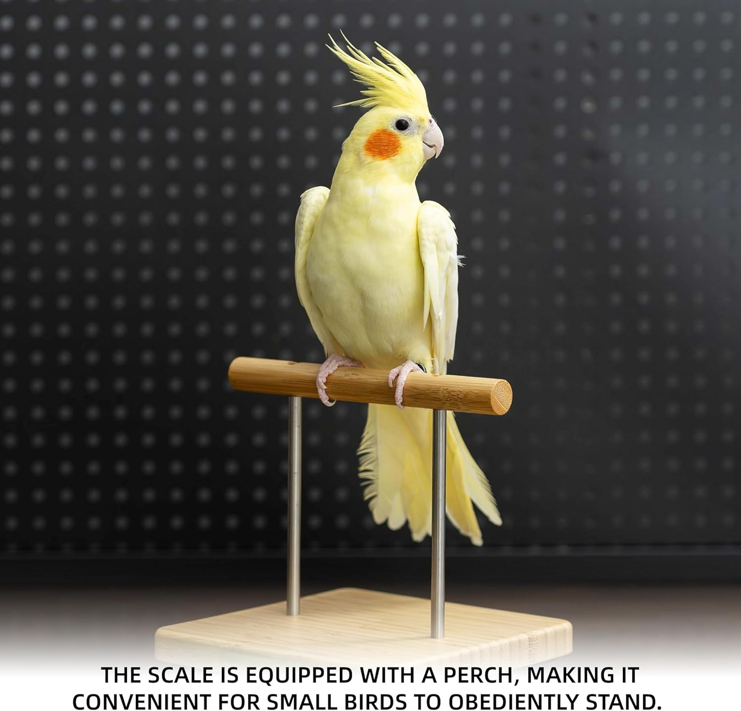 NEOUZA Perch-Mounted Bird Scale, Parrot Training Weight Scale with Perch, Suitable for Society Finches, Canaries, Budgerigars, Cockatiels, African Greys, Pigeons