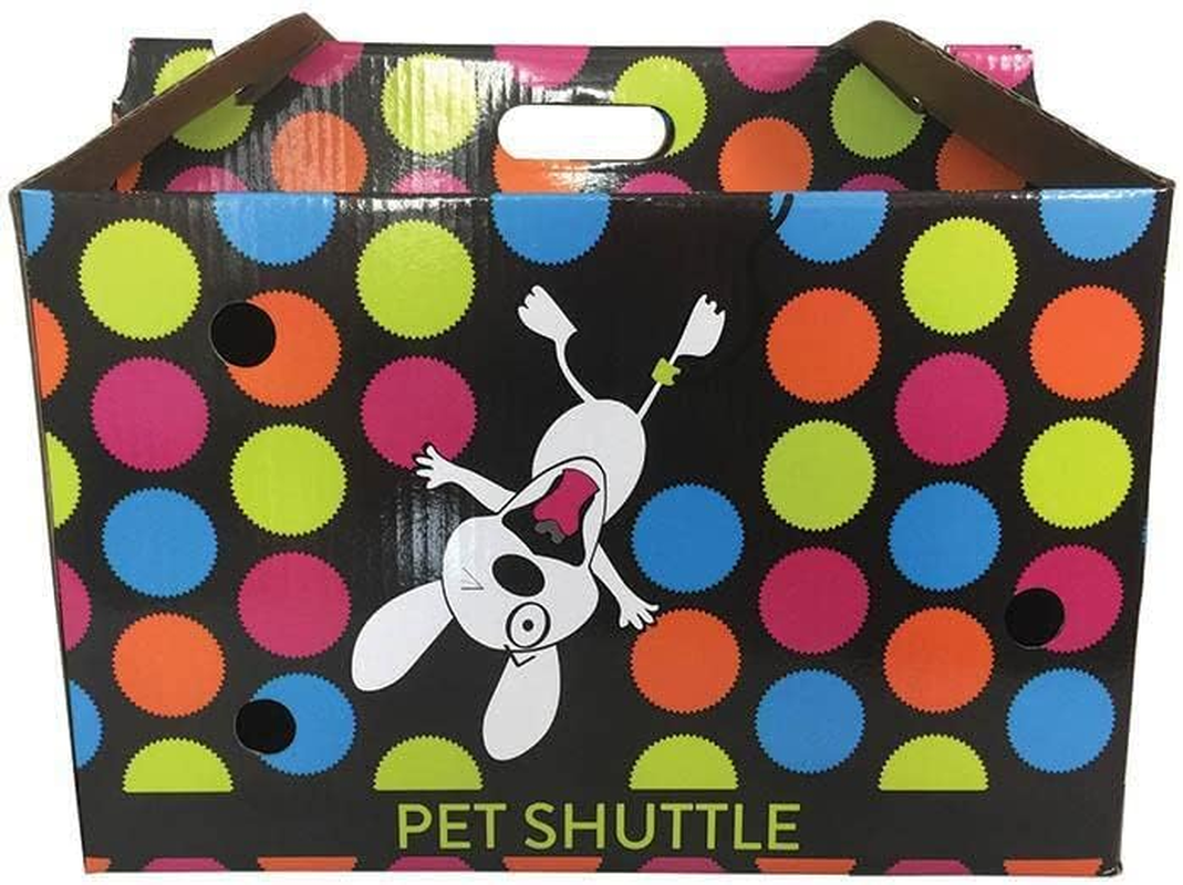 SCREAM Cardboard Pet Shuttle 44X25X28Cm, Multicolour, 44X25X28Cm