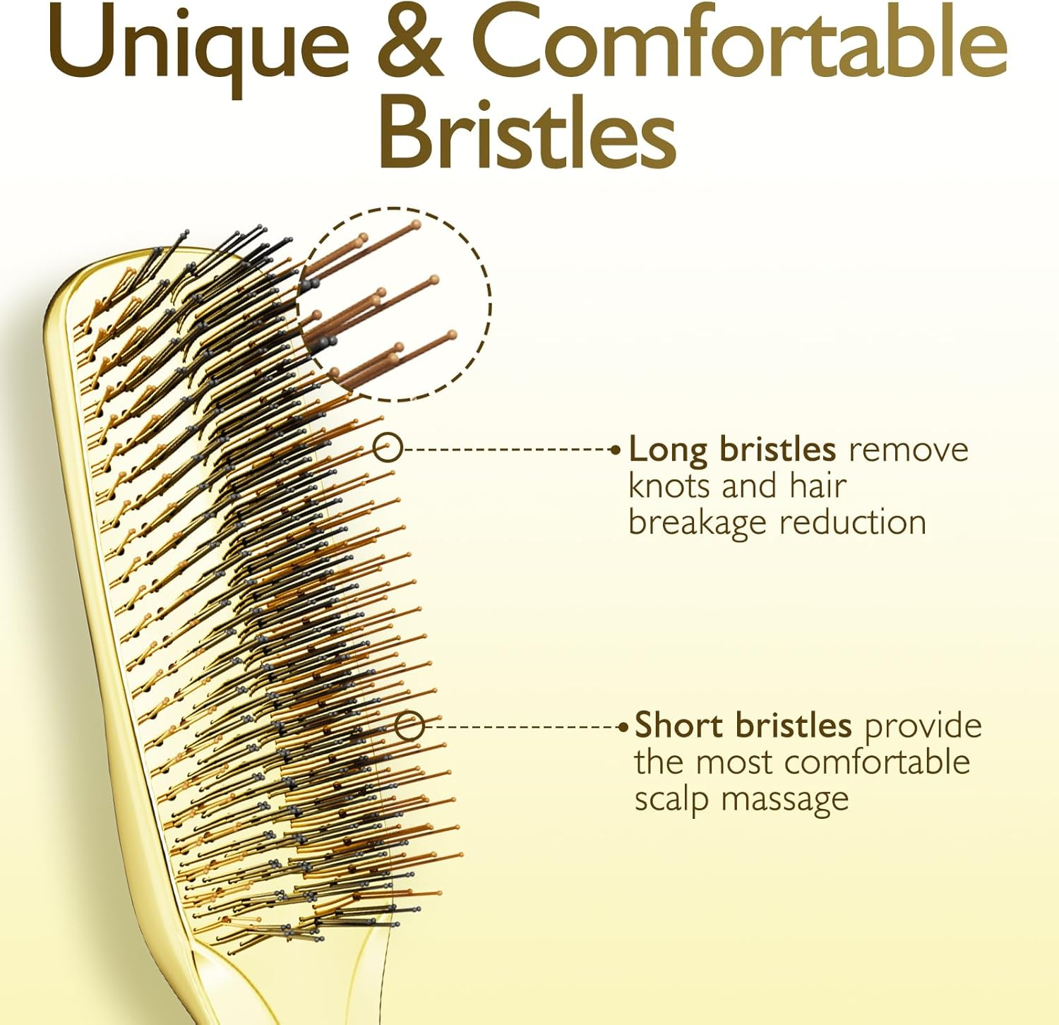 Daily Gard Detangling Hair Brush, Dry and Wet Detangler Hair Brush for Women and Men, Massager Scalp Brush for Straight/Curly/Thick/Long/Wavy/Damaged Hair, Gold image number 3