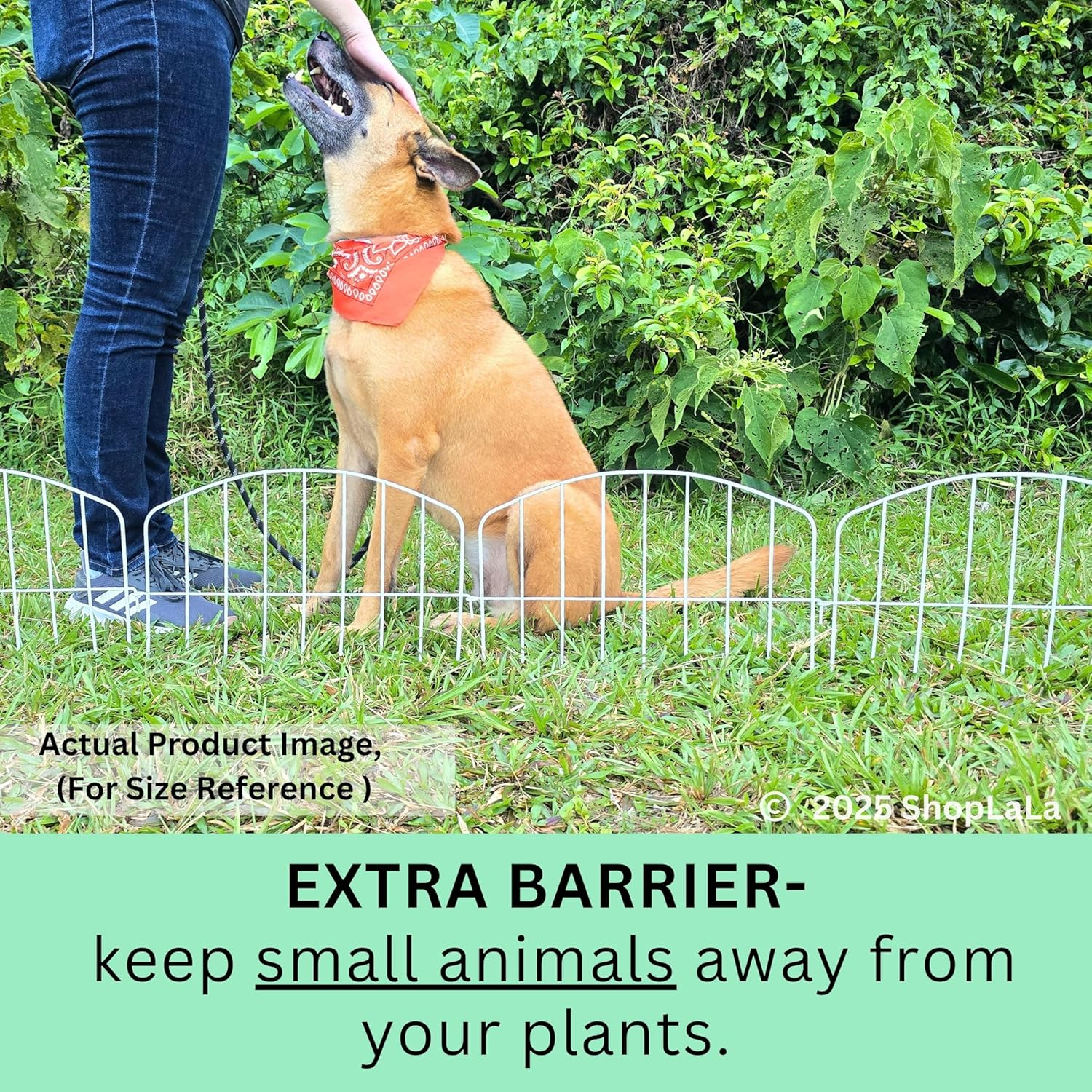 Shoplala Garden Fence Border (10 Panels) 12In(L) X 16.5In(H) Decorative Metal Wire Animal Barrier Fencing, Rustproof Flower Edging for Landscape Patio Outdoor Decor, Dog Gates and Border White M-L16.5 image number 1