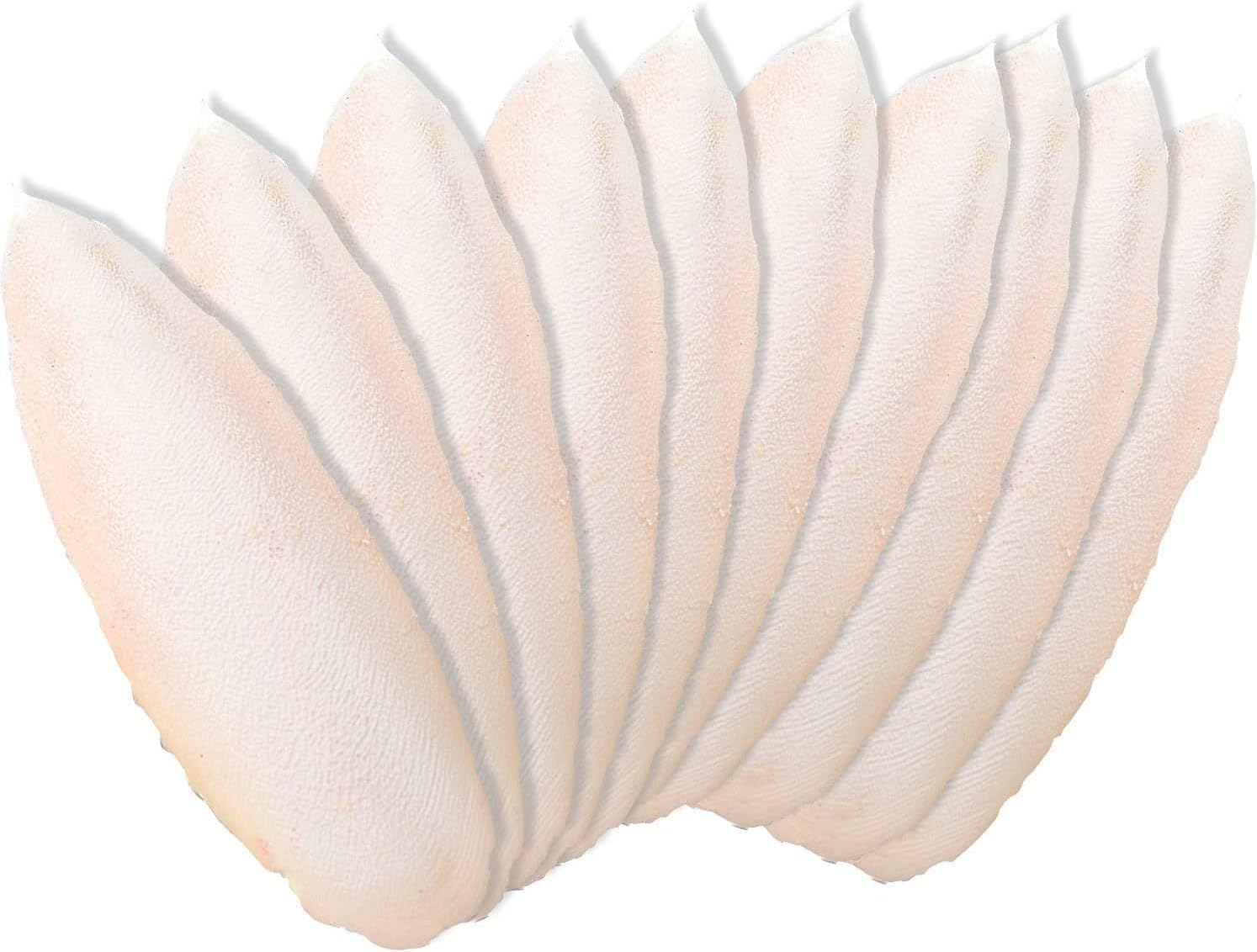 Powerful 10PCS Cuttlebone 12-13Cm Cuttlefish Bone Natural Cuttlefish for Birds Parrots Reptiles Tortoise Snails image number 4